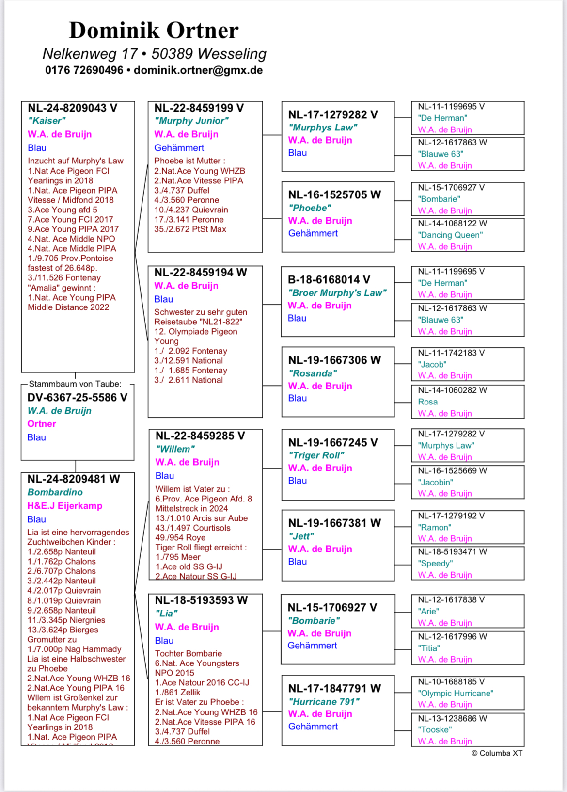 DV6367-25-5586  ERKEK  / INBREED MURPHS LAW % DE BRUIJN