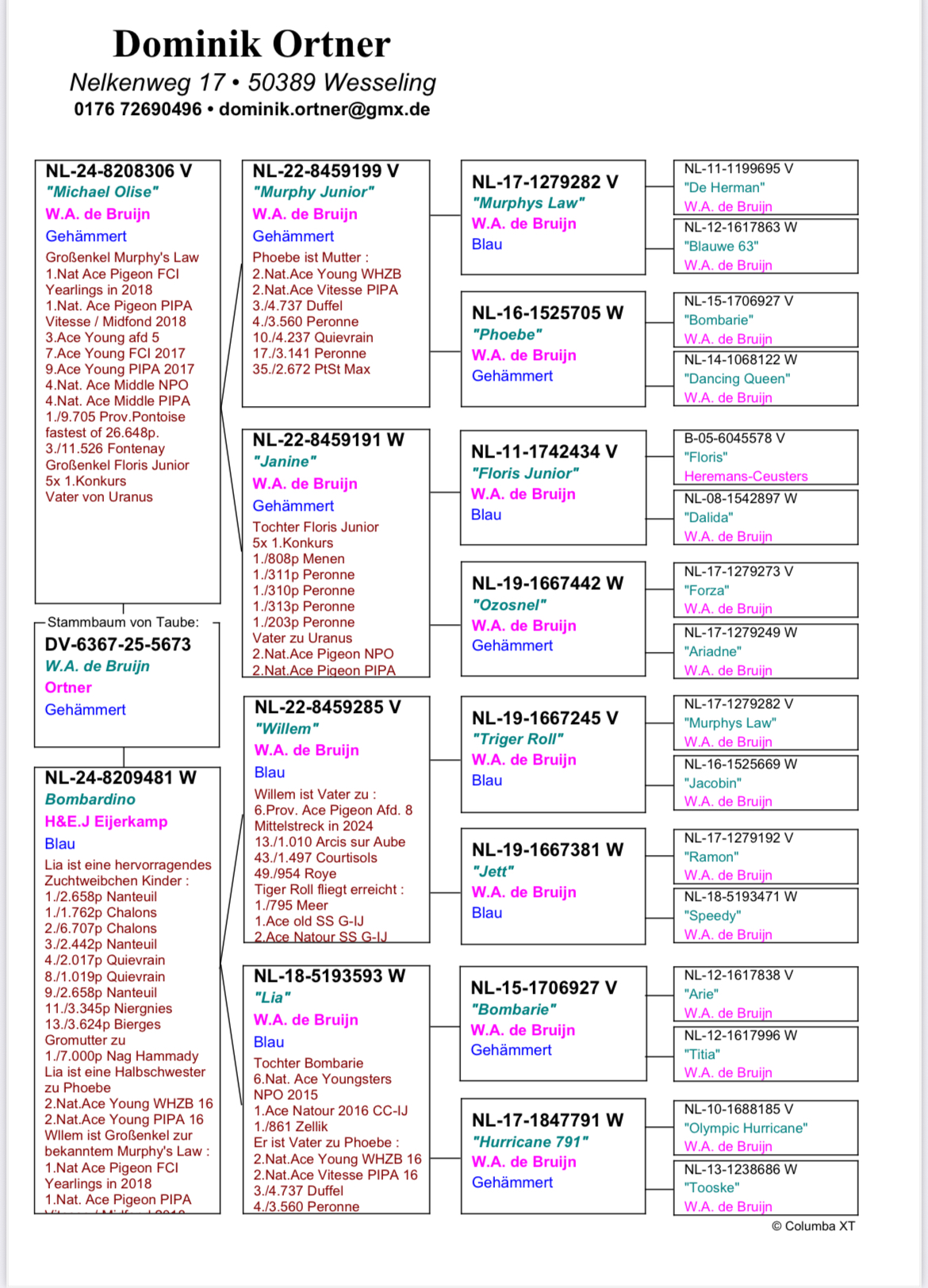 DV6367-25-5673 DIŞI / INBREED MURPHS LAW  % DE BRUIJN 