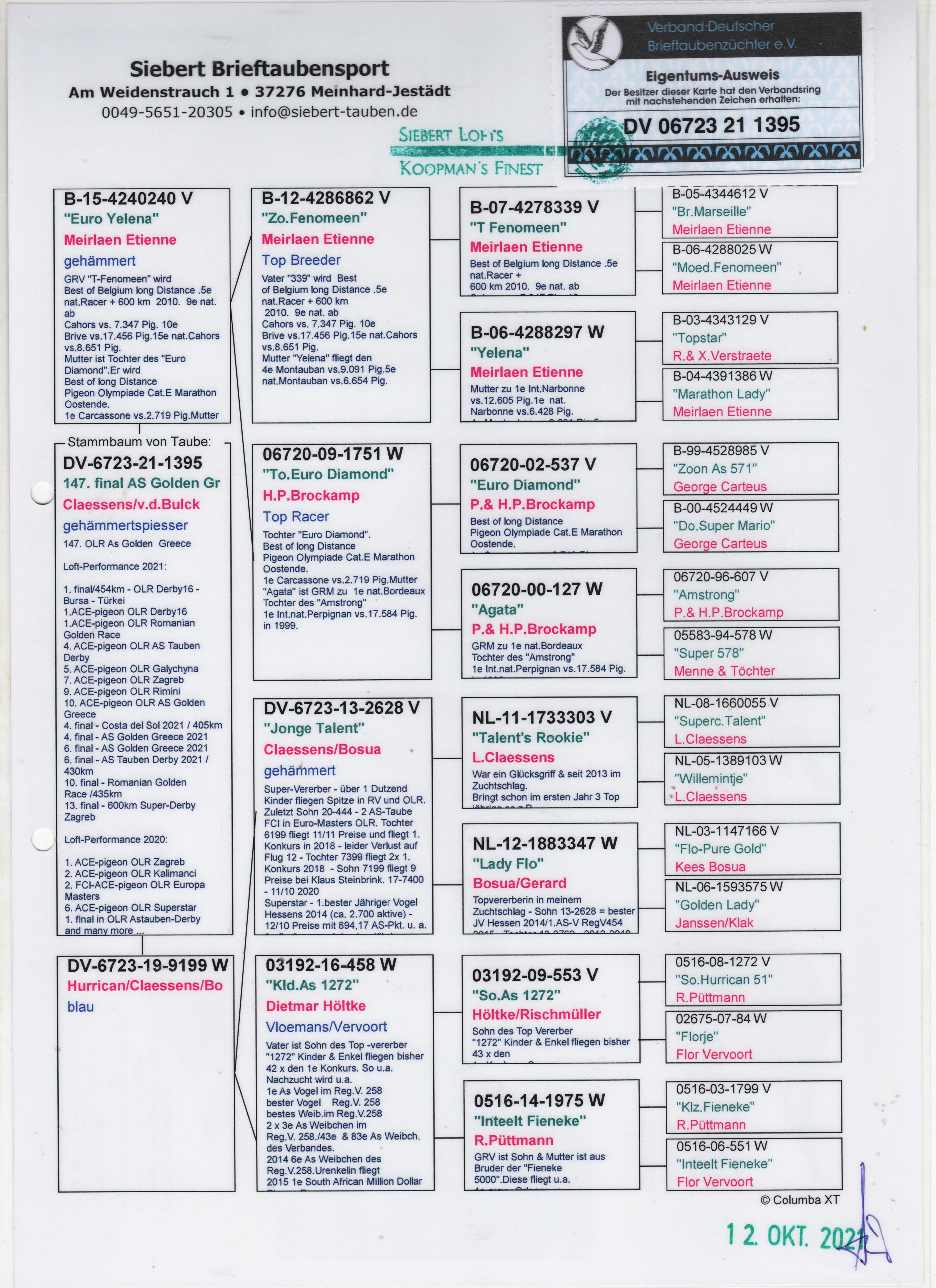 DV6723-21-1395 ERKEK  / DİETER SİEBERT KENDİSİ 147 FİNAL AS GOLDEN