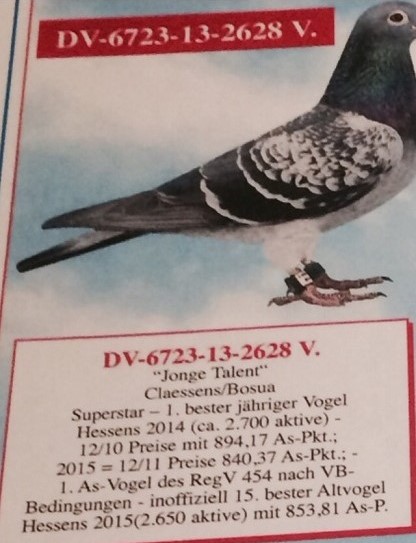 DV6723-21-1395 ERKEK  / DİETER SİEBERT KENDİSİ 147 FİNAL AS GOLDEN