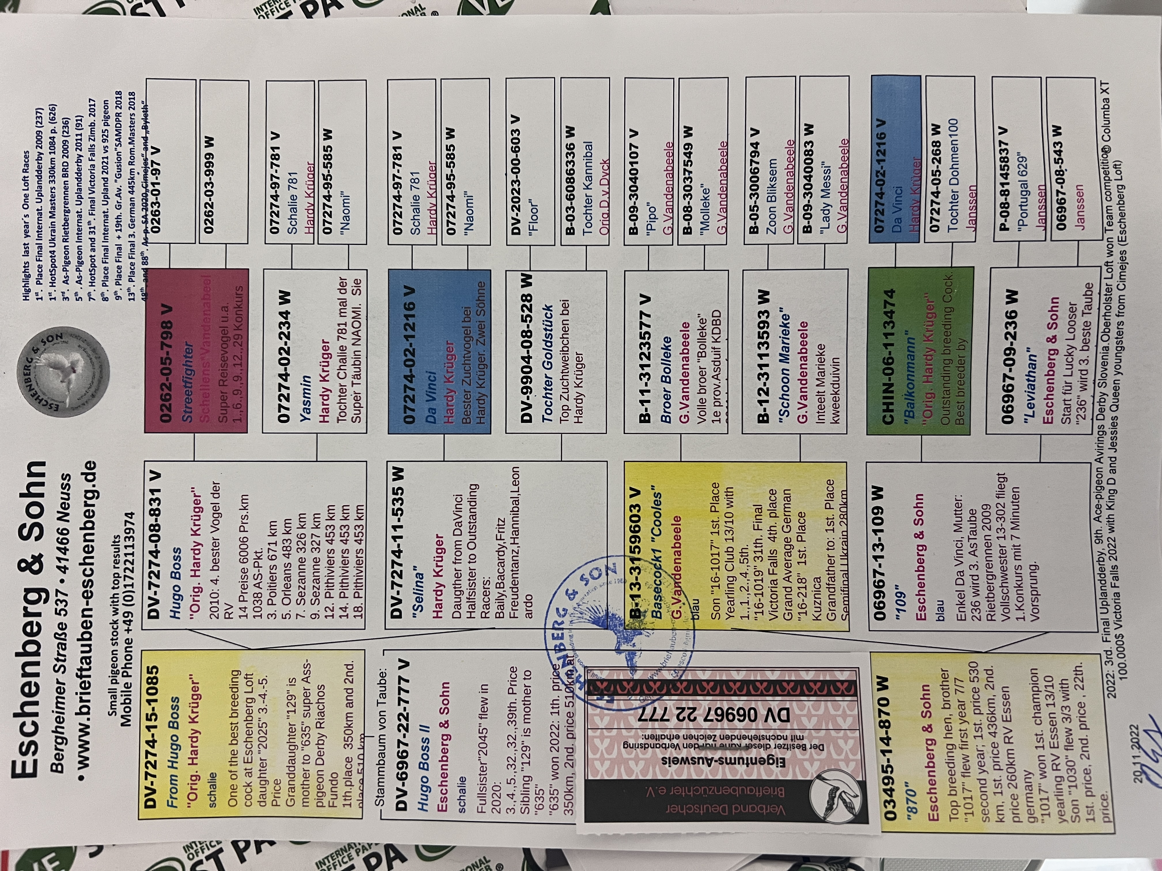 DV6917-22-777 ERKEK / HARDY KRUGER % 75 BABASI DAVINCI TORUNU