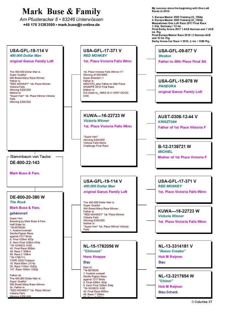 DV800-22-143 ERKEK / INBREED 400.000 DOLAR MİKE GANUS FAMILY