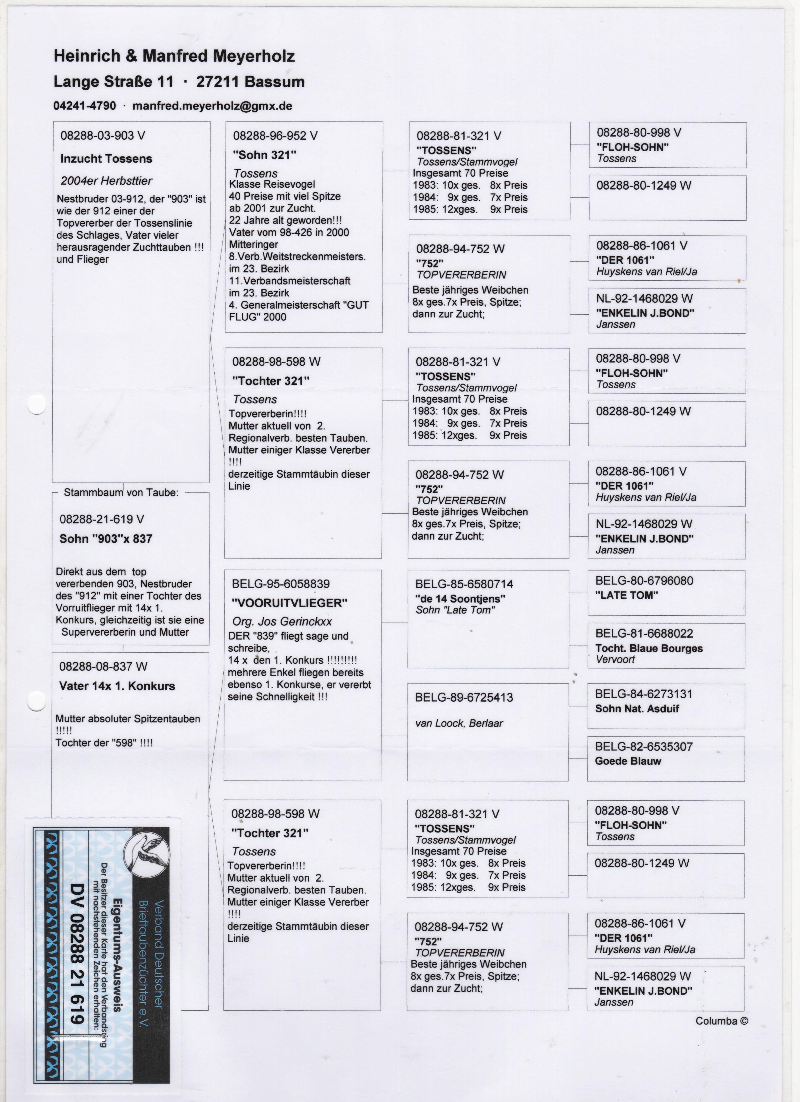 DV8288-21-619 ERKEK / JANSSEN - VAN RİEL 