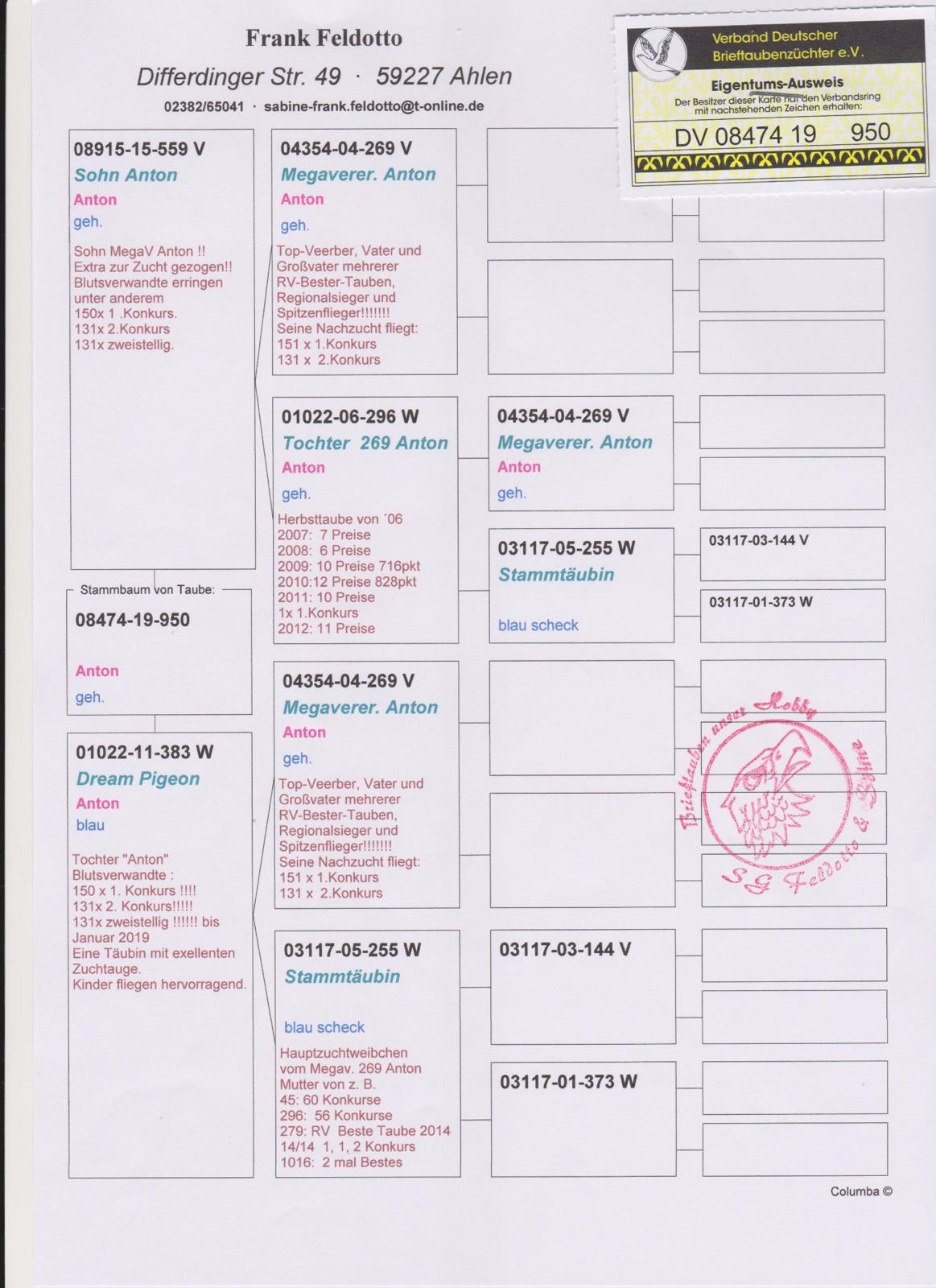 DV8474-19-850 DİŞİ / INBREED ANTON