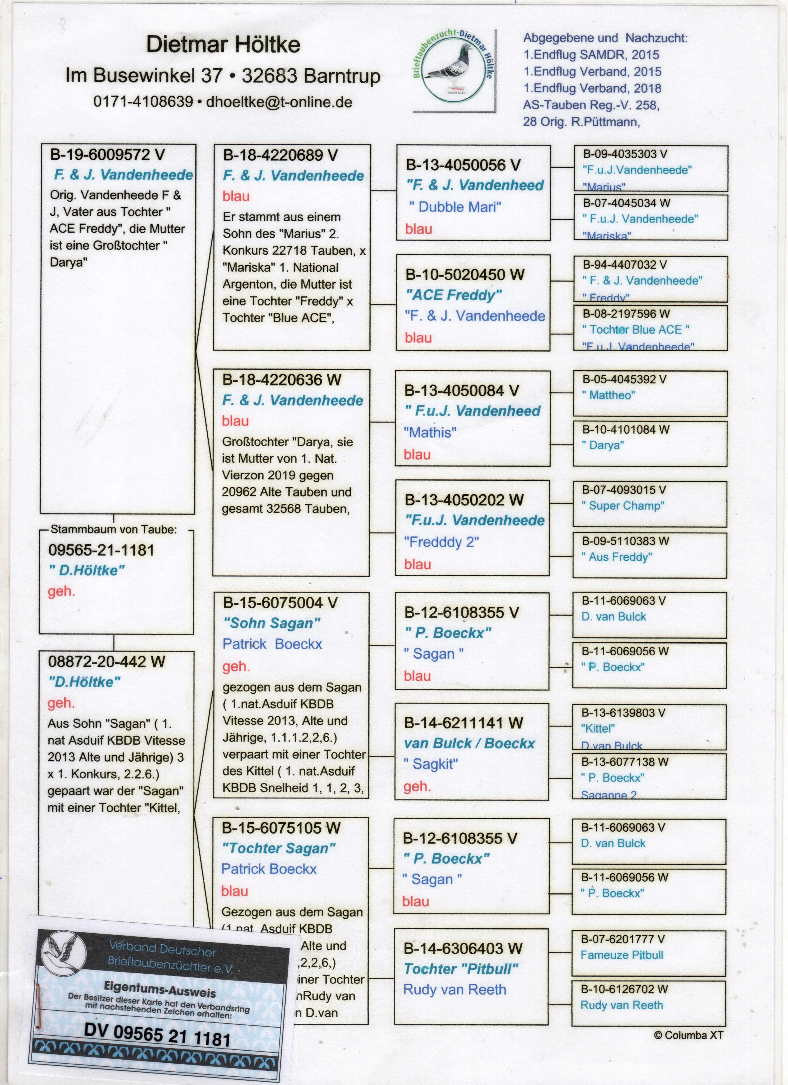 DV9565-21-1181 DİŞİ / DİETER HOLKE 