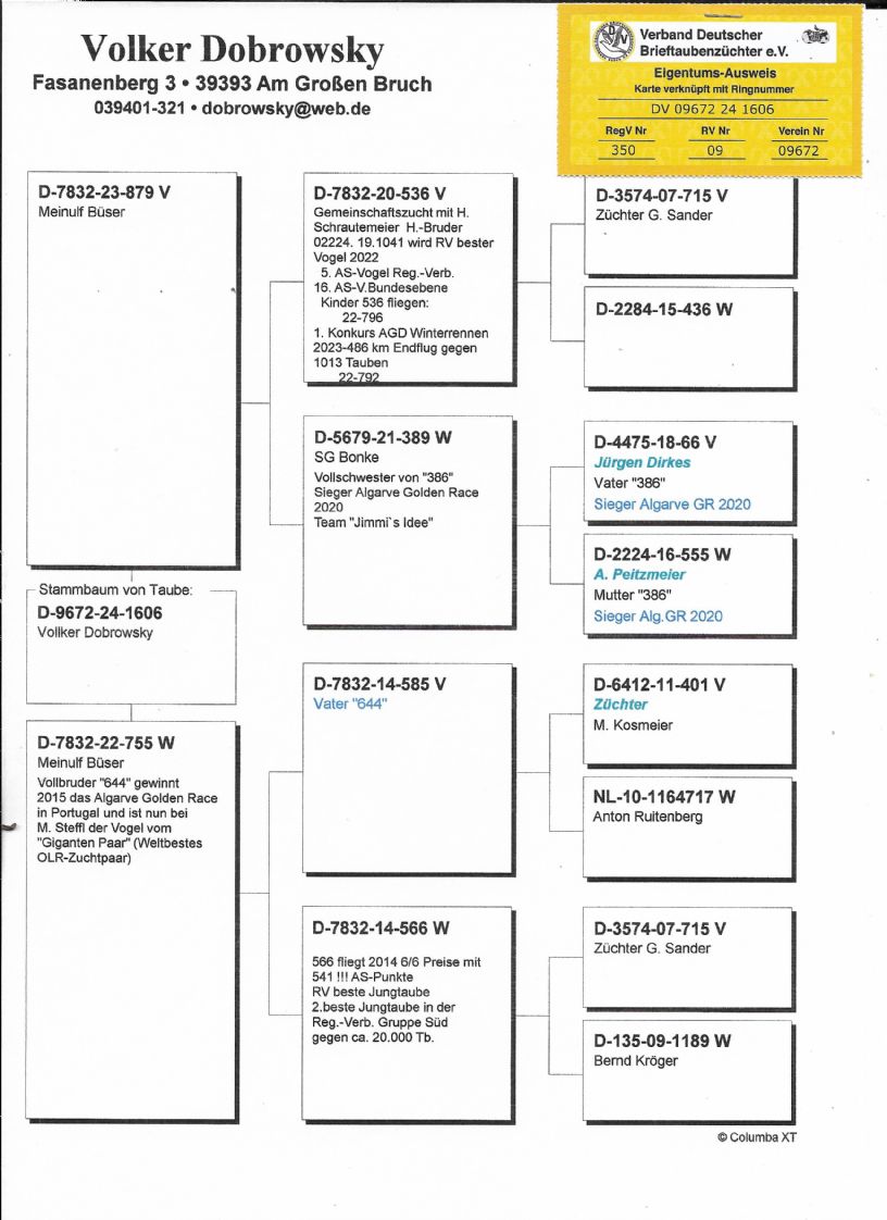 DV9672-24-1606 DİŞİ / ANNESİNİN KARDEŞİ ALGARVE GİANT 1. FİNAL 505 KM 