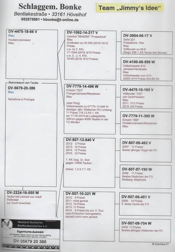 DV9672-24-1606 DİŞİ / ANNESİNİN KARDEŞİ ALGARVE GİANT 1. FİNAL 505 KM 