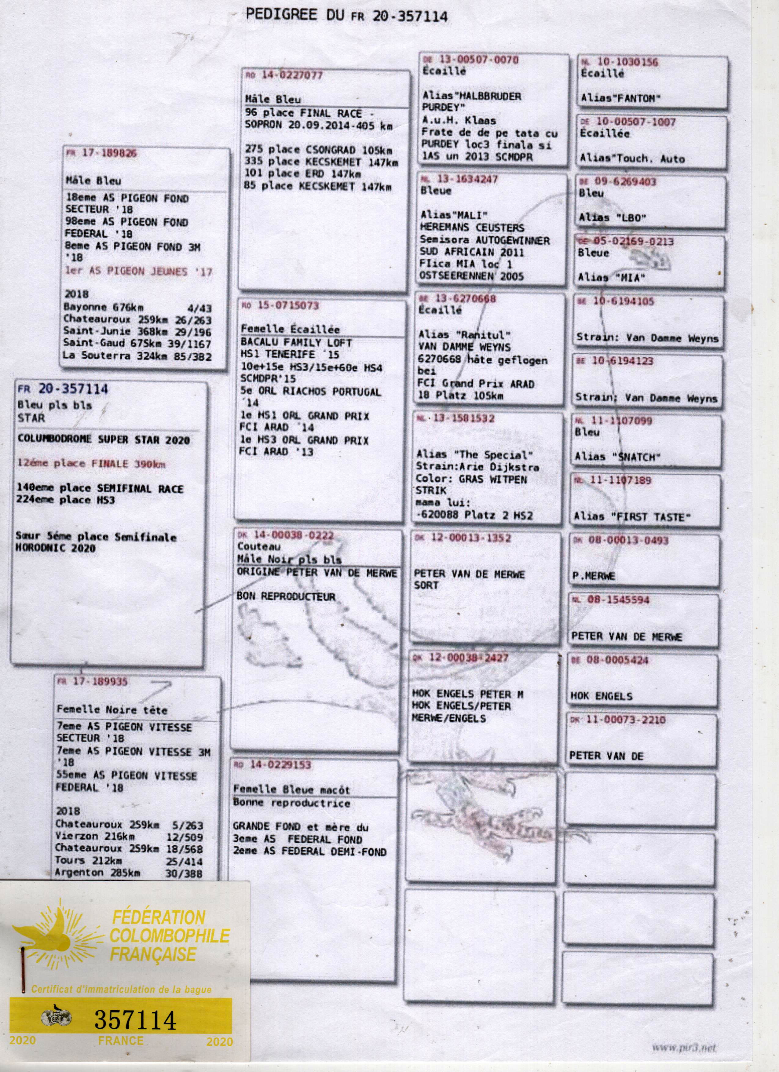 FR20-357114 DİŞİ / KENDİSİ 12 FİNAL 390 KM OLR SUPERSTAR 