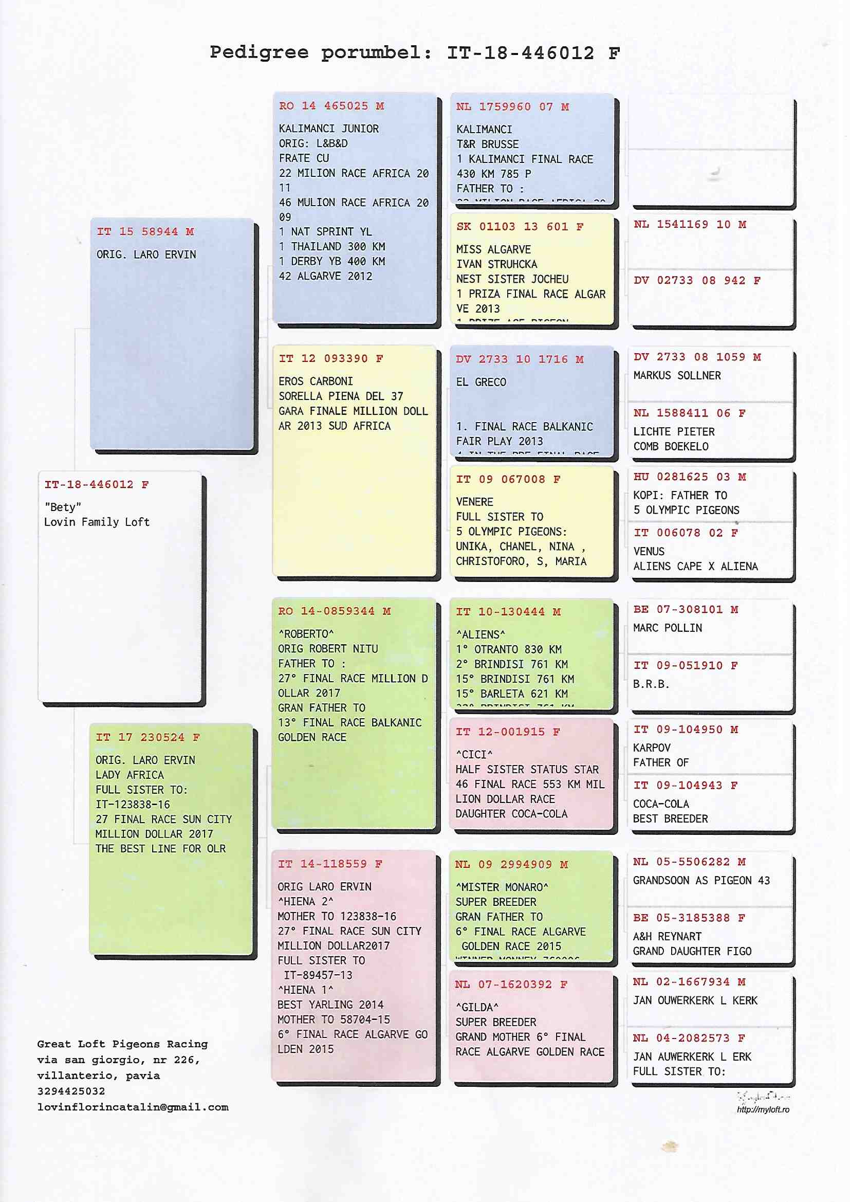 IT18-446012 DİŞİ / BABASININ DEDESİ KALİMANCİ ŞAMPİYONU