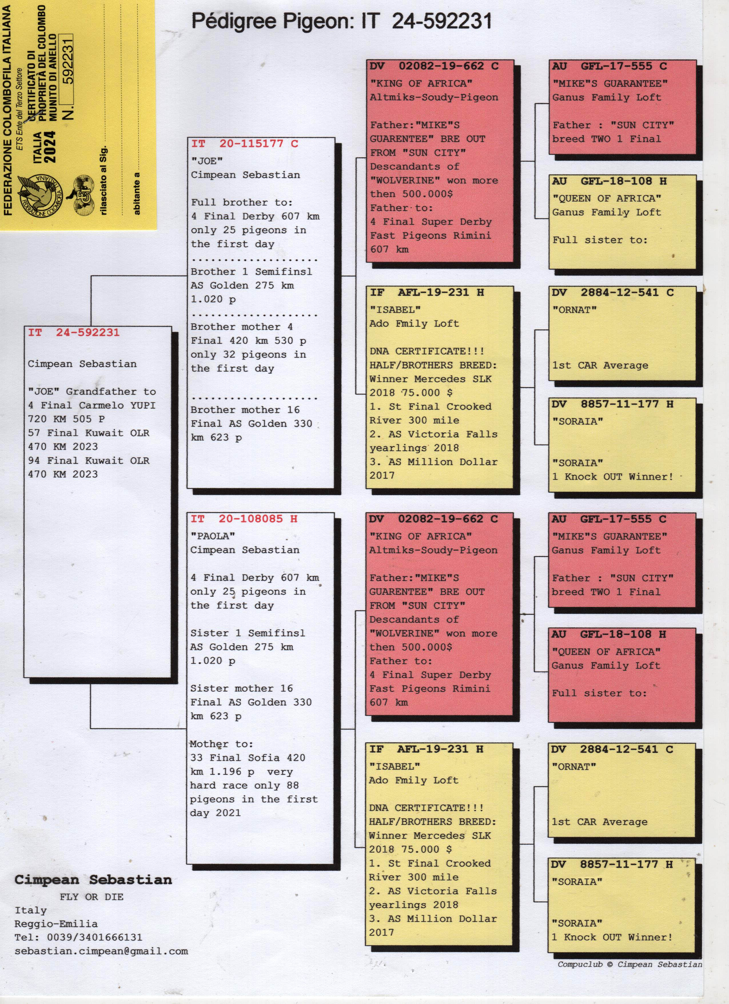 IT24-592231 ERKEK /  CIMPEAN SEBASTIAN - INBREE ISABEL - ORNAT SORIA 