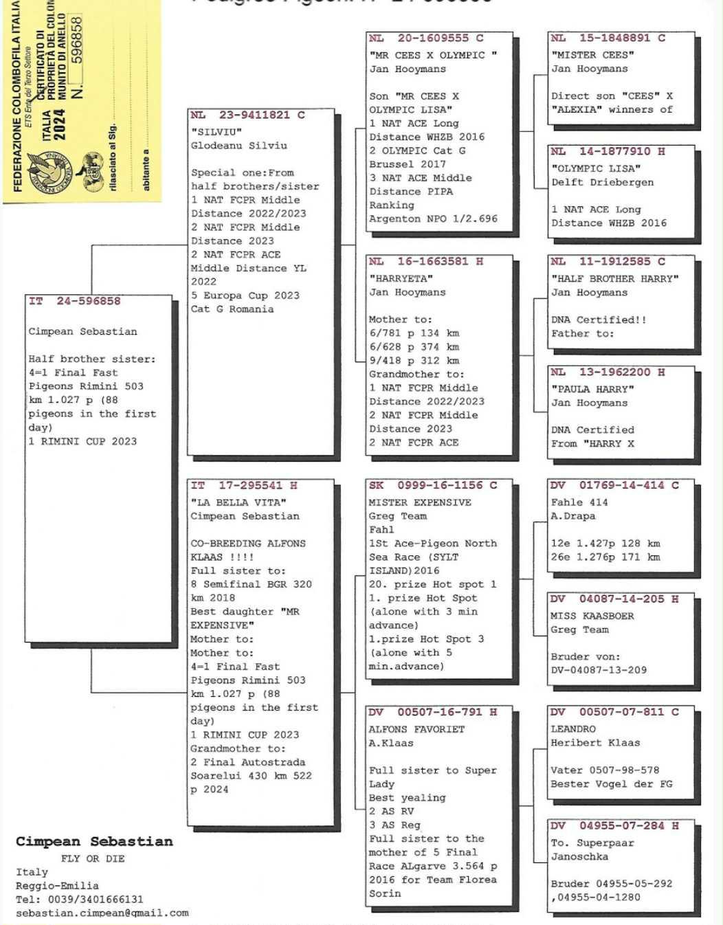 IT24-596858 / CİMPİEN SEBASTIAN YARIM KARDEŞİ 4 FİNAL FAST PİGEON 
