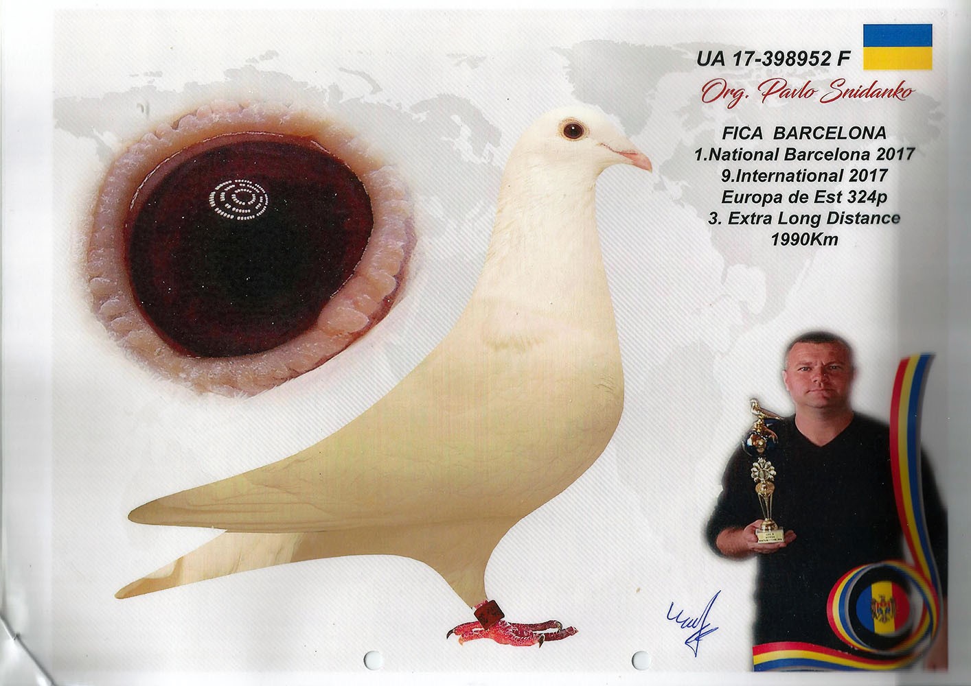 MD20-0491 ERKEK / ORJ. G. DUMITRU - INBREED WHITE BARCELONA - 1. NAT BARCELONA