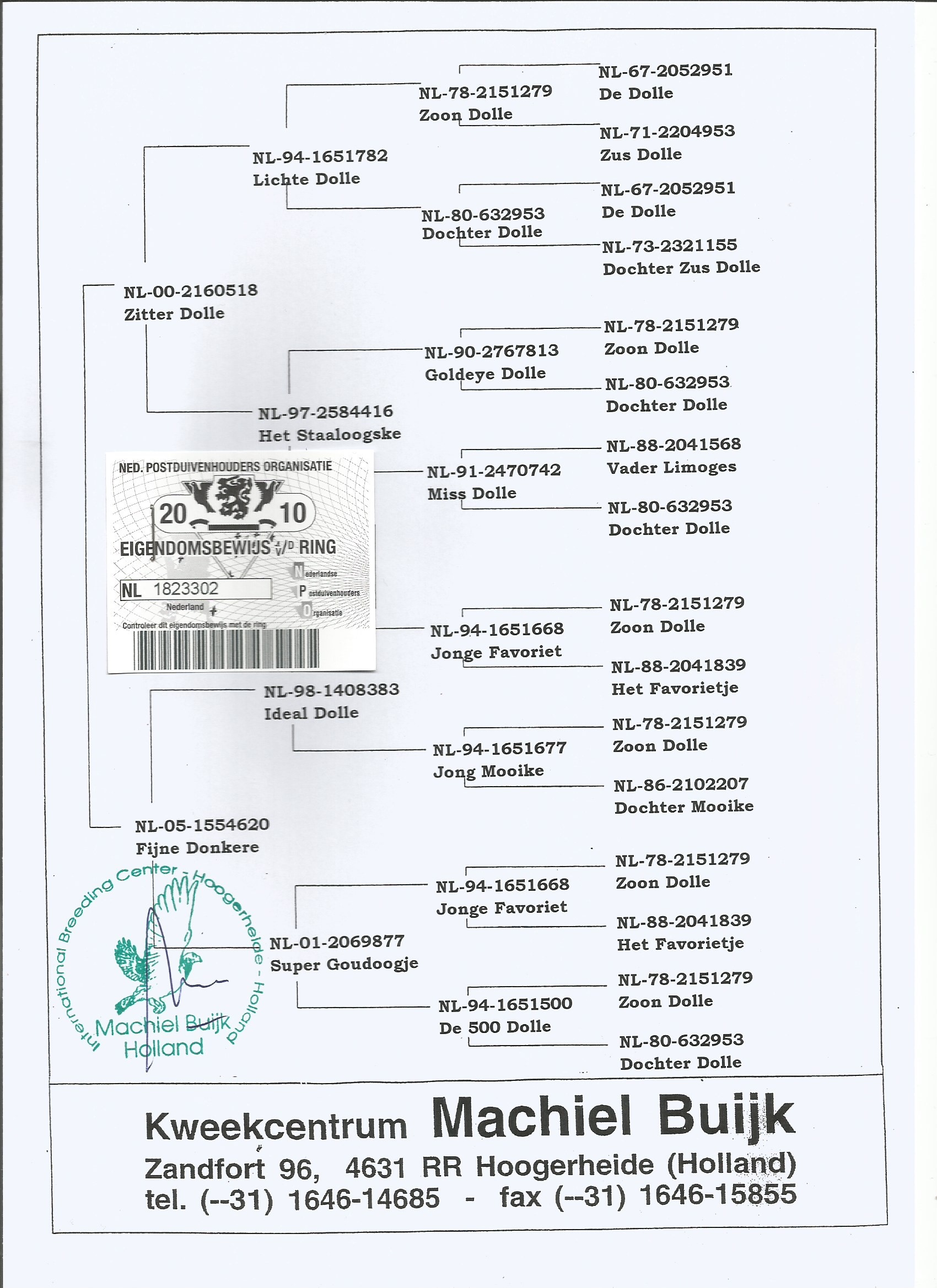 NL10-1823302 ERKEK JAN AARDEN % 100 INBREED DOLLE