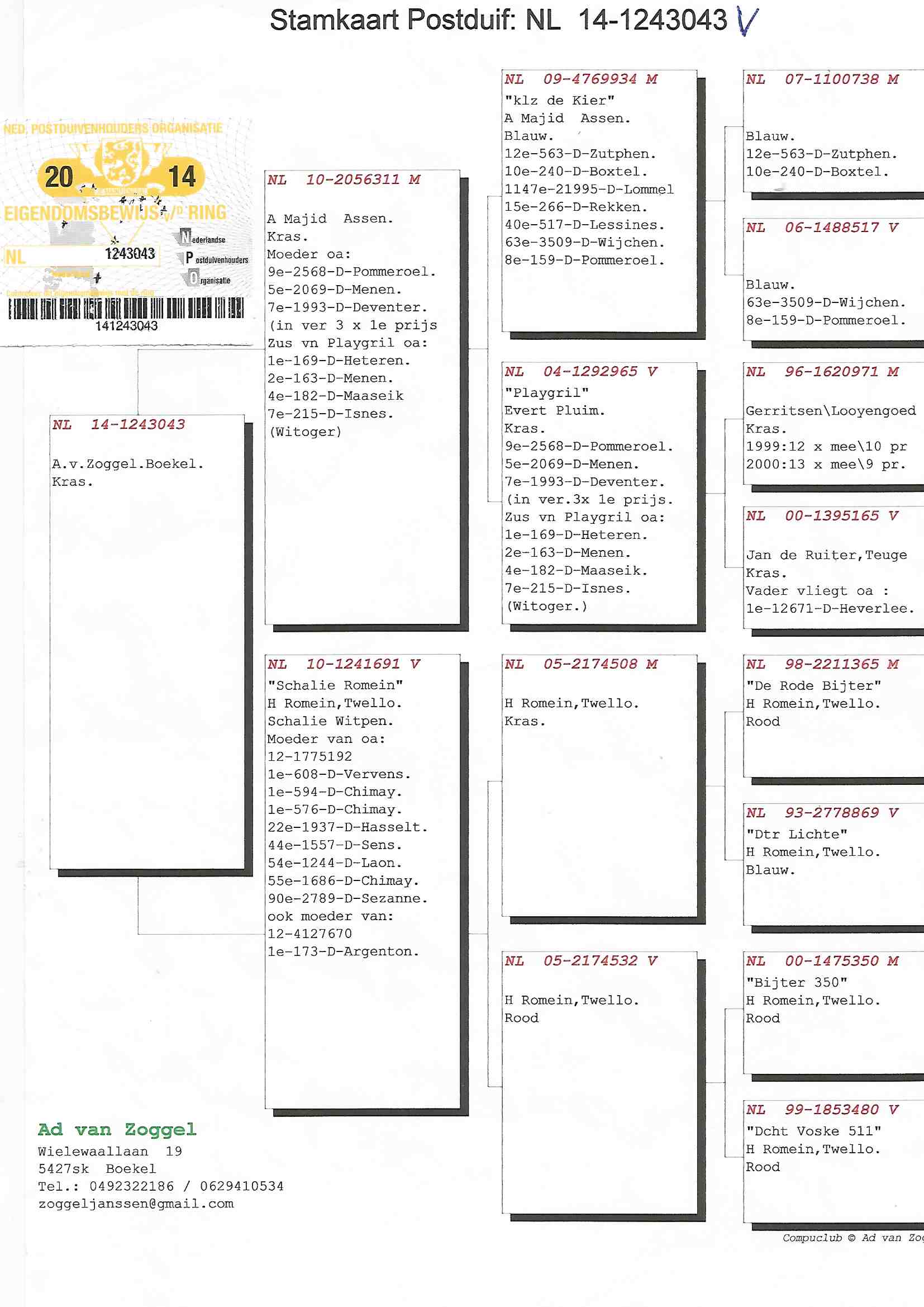 NL14-1243043 DİŞİ / AD VAN ZOGGEL 