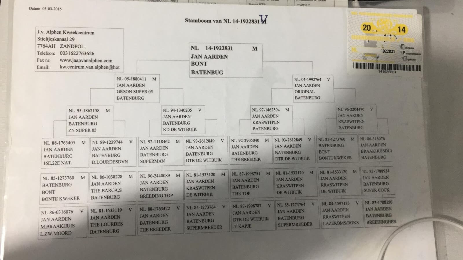NL14-1922831 DİŞİ / JAN AARDEN 