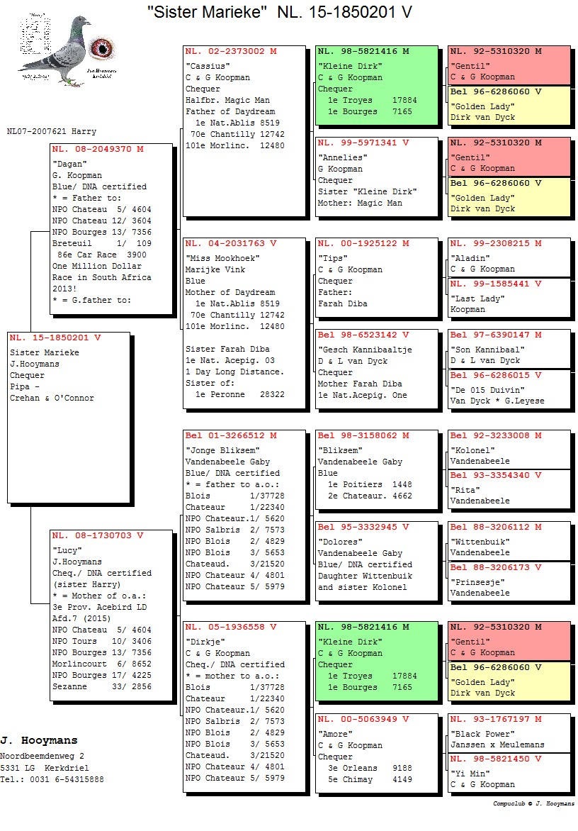 NL15-1850201  ORJ JAN HOOYMANS ANNESININ KARDESI HARRY INBREED KLEIN DIRK