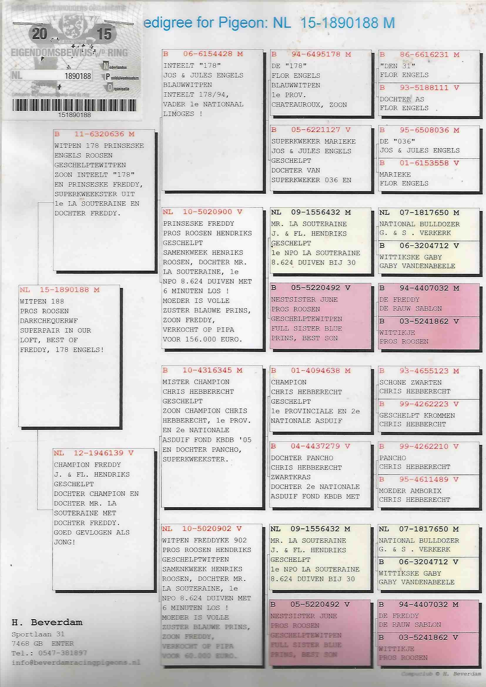 NL15-1890188 ERKEK / ORİJİNAL H. BEVERDAM 
