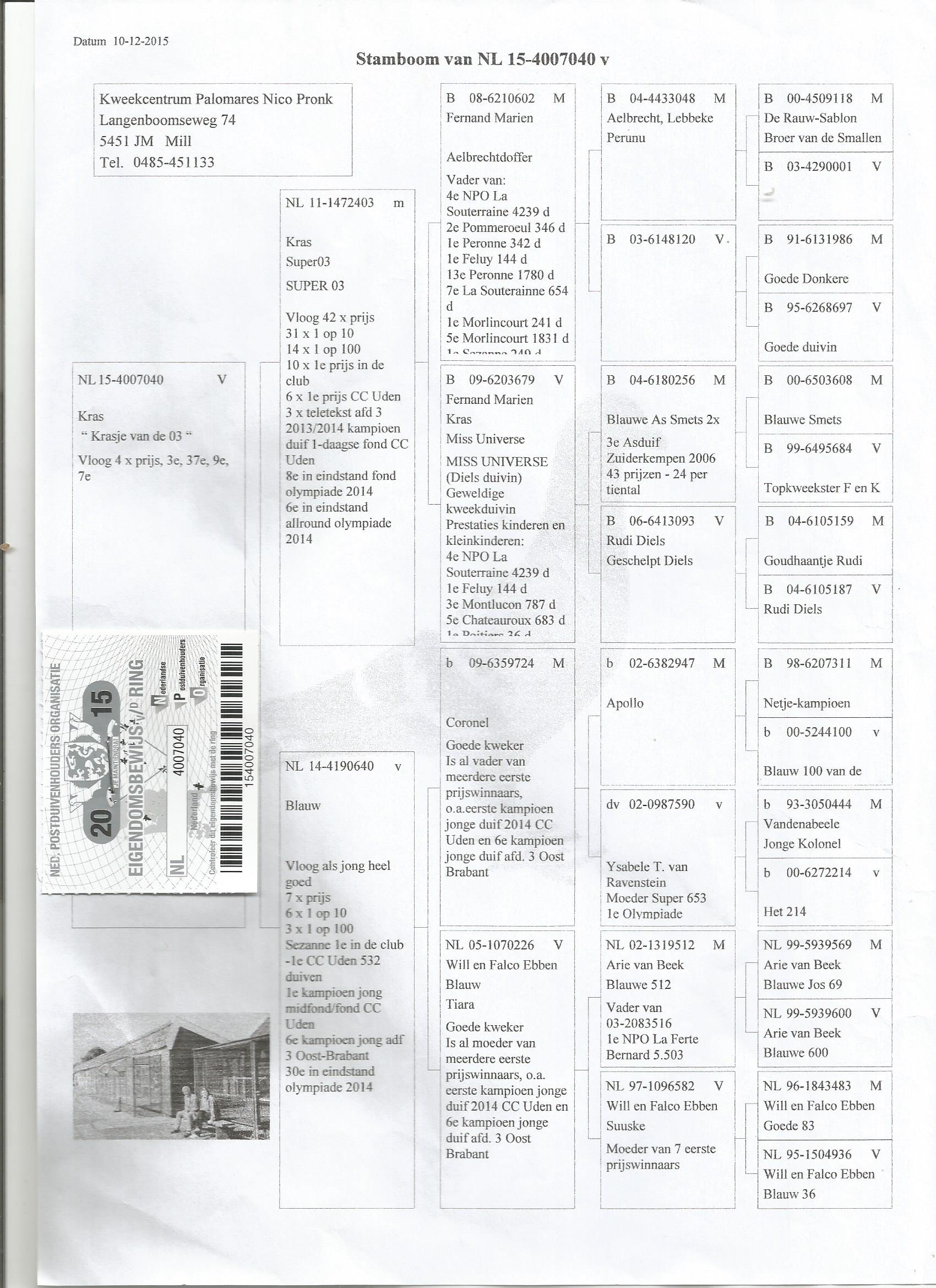 NL15-4007040 DİŞİ /  KENDİSİ YARIŞMIŞTIR 4X PRIJS 