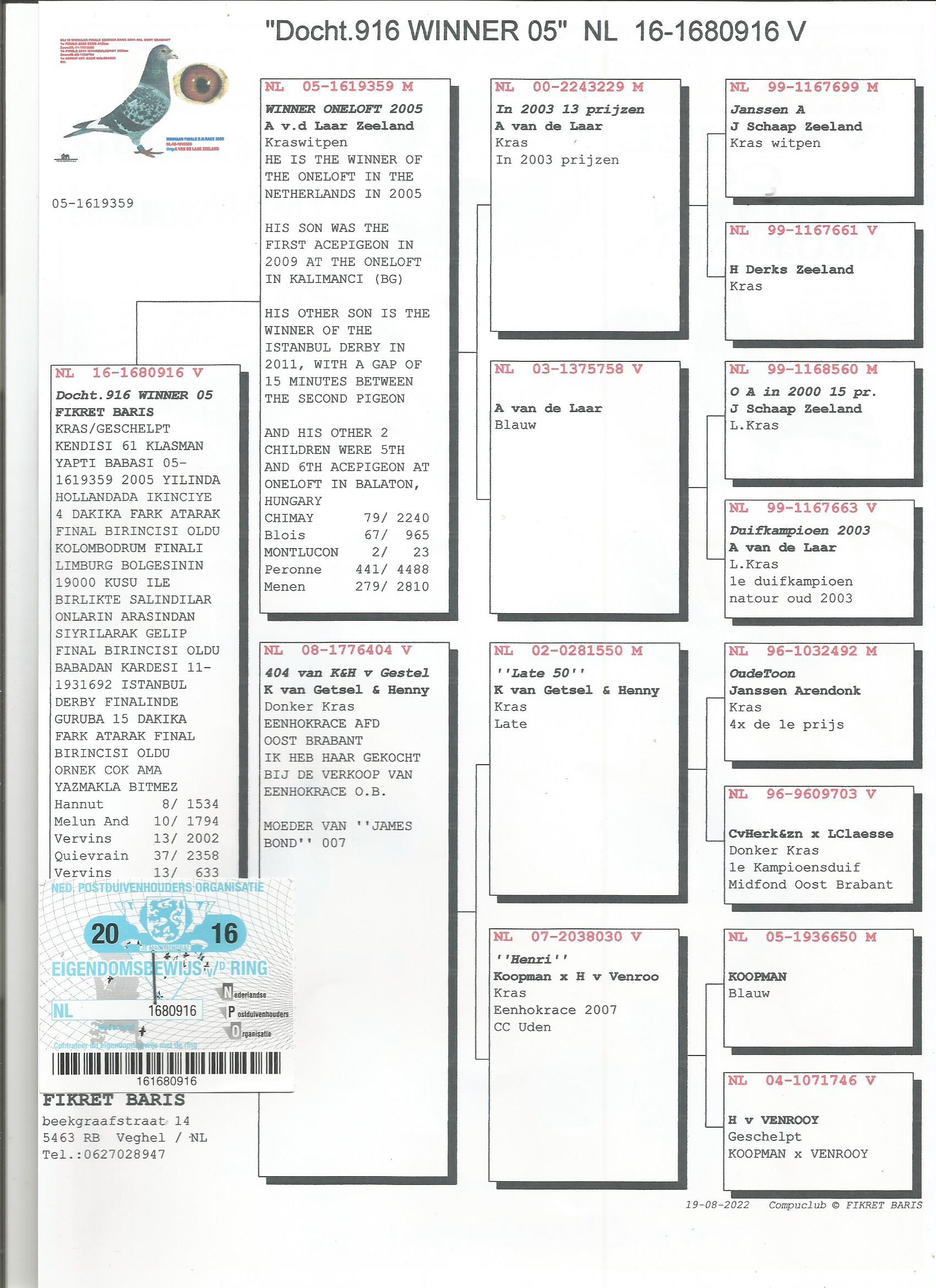 NL16-1680916 DİŞİ / KENDİSİ YARIŞMIŞ  8. ANNUT  1534 P. YAVRUSU 2. ASSE ZALI   2046 P.