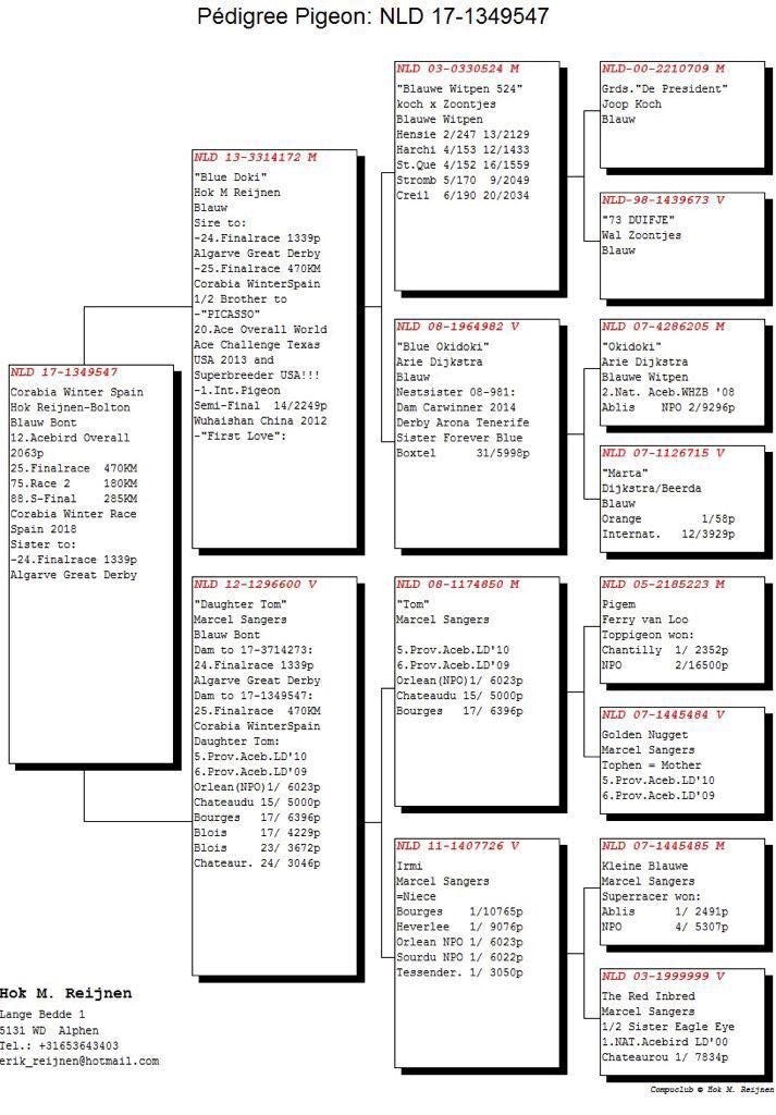 NL17-1349547 ERKEK /  HOK M. REİJNEN BOLTON KENDİSİ 25. FİNAL 470 KM