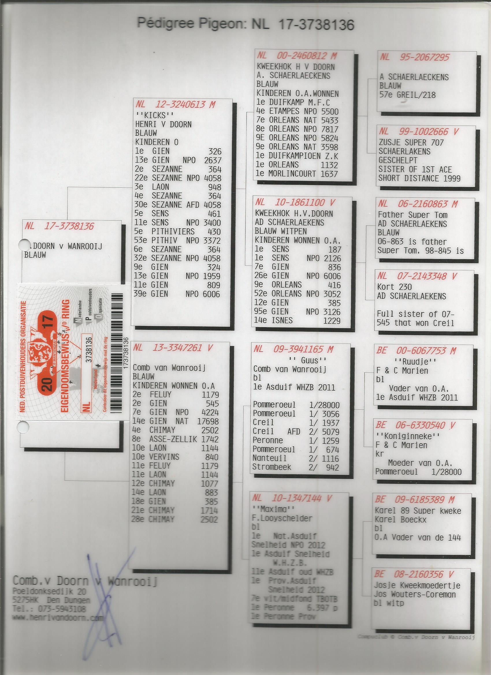 NL17-3738136 ERKEK / BABA AD SCHAERLAECKENS 