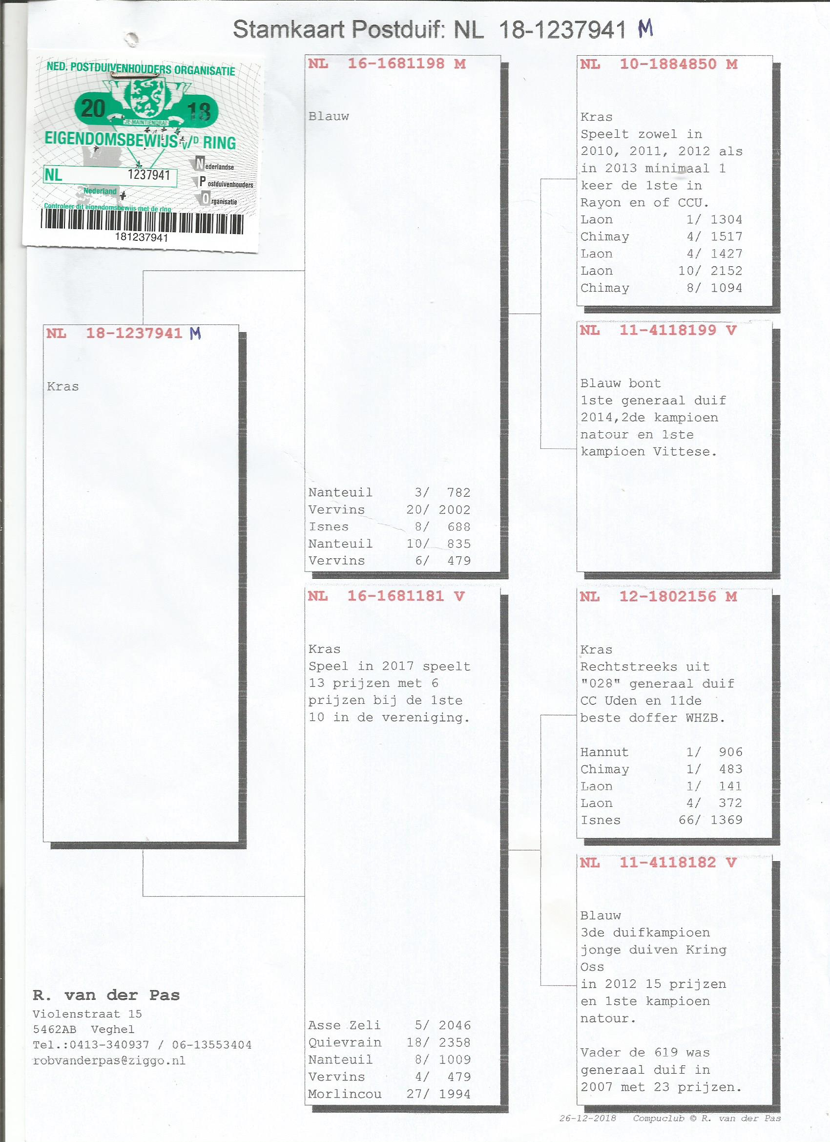 NL18-1237941 ERKEK /  NL18-1244011 DİŞİ /  ÖZEL TAKIM