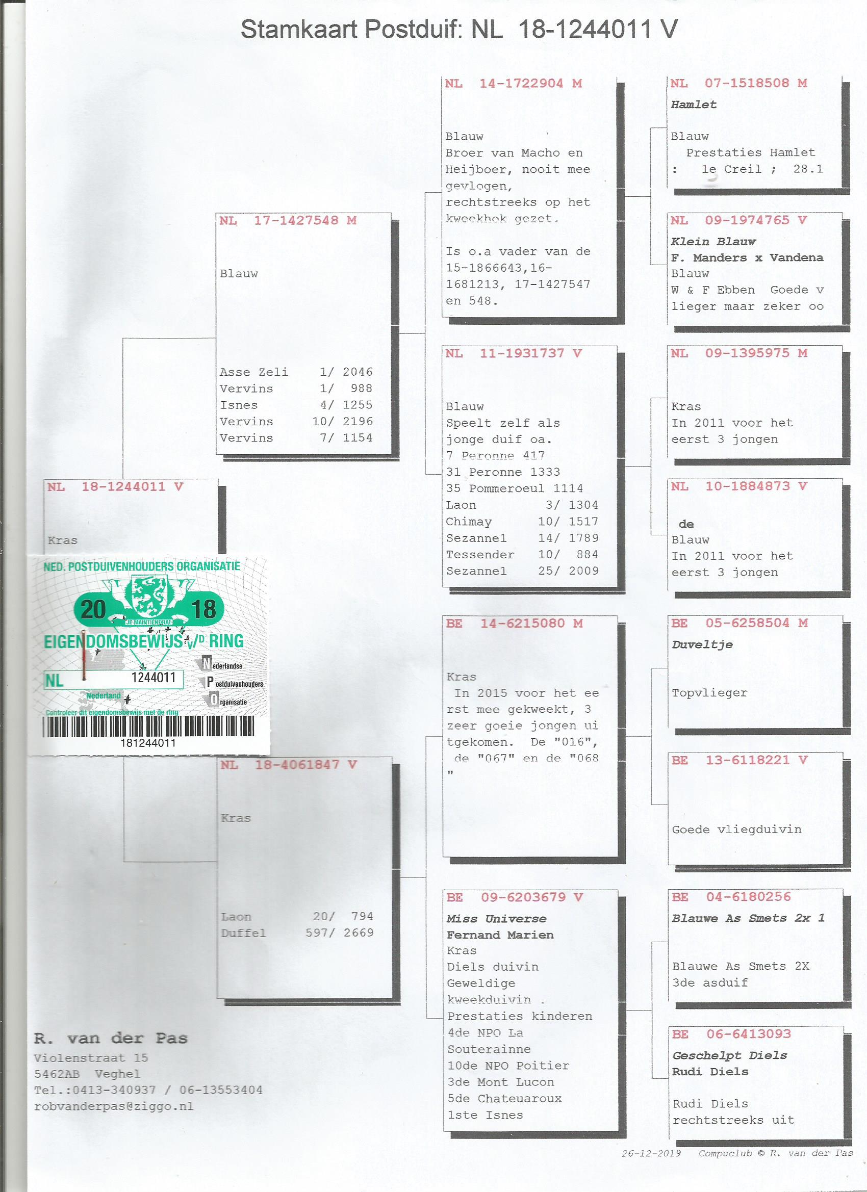 NL18-1237941 ERKEK /  NL18-1244011 DİŞİ /  ÖZEL TAKIM