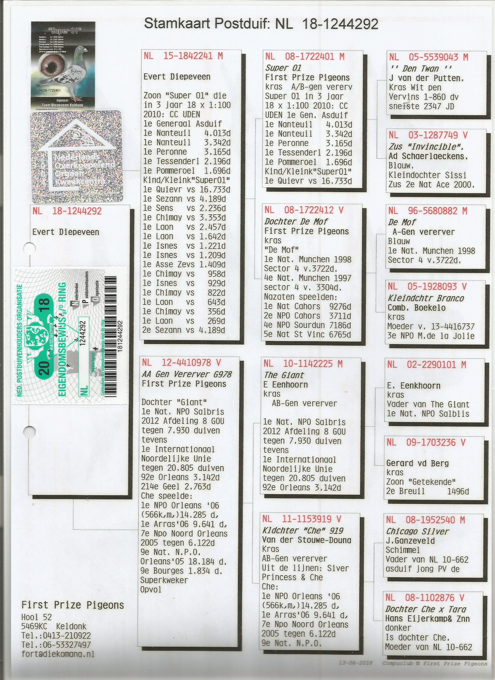 NL18-1244292 ERKEK DEDESİ SUPER 01 - 1. GENERAL ASDUIF -  1. NANTEUIL   4013 P.