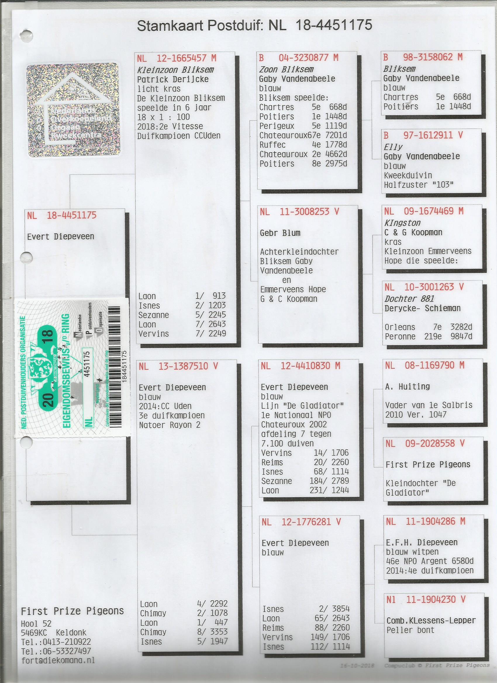 NL18-4451175 ERKEK / BABASI  GABY KOOPMAN ANNESİ  3E DUIFKAMPIOEN