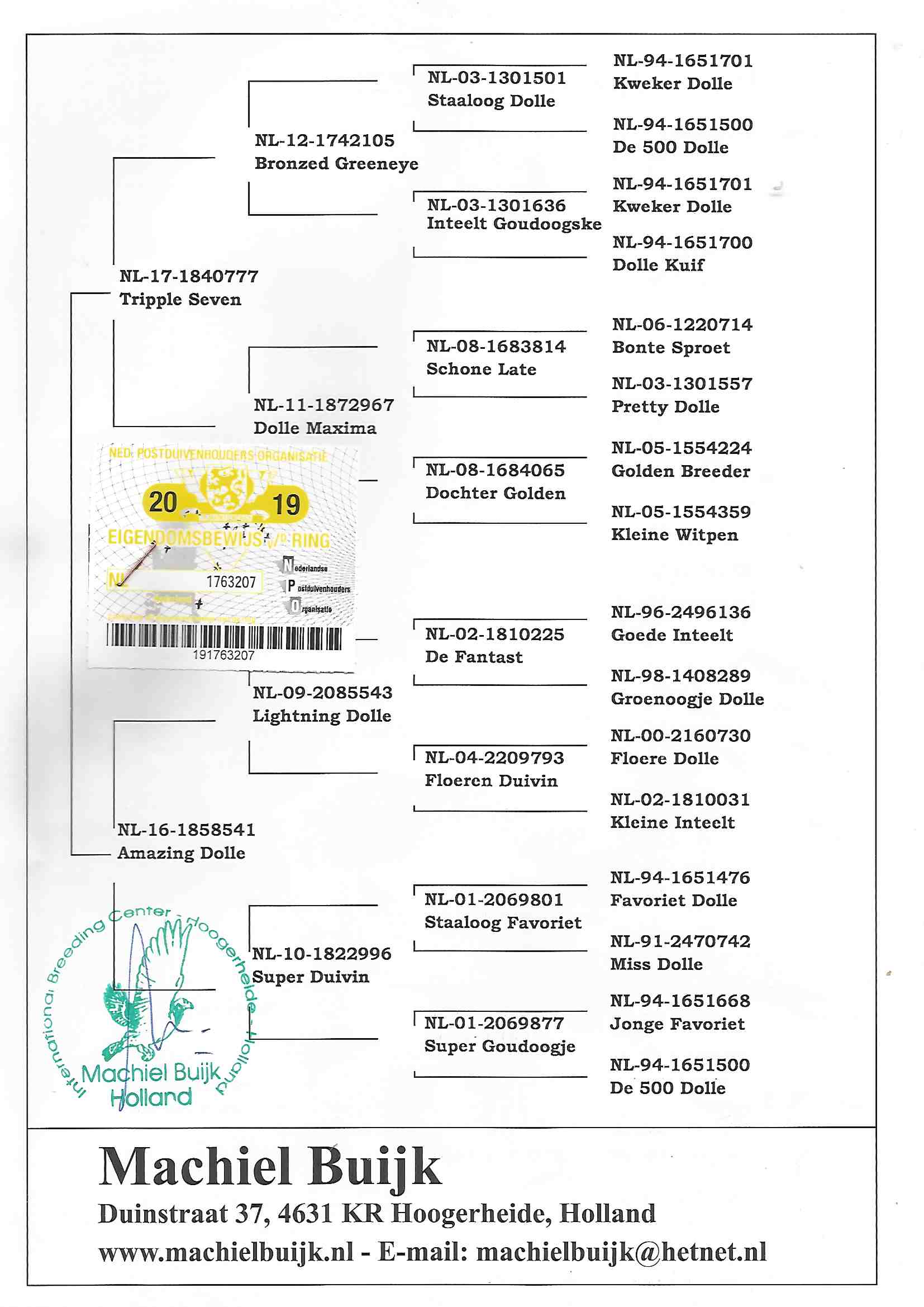 NL19-1763207 ERKEK / MACHİEL BUİJK ( JAN AARDEN ) MARATON