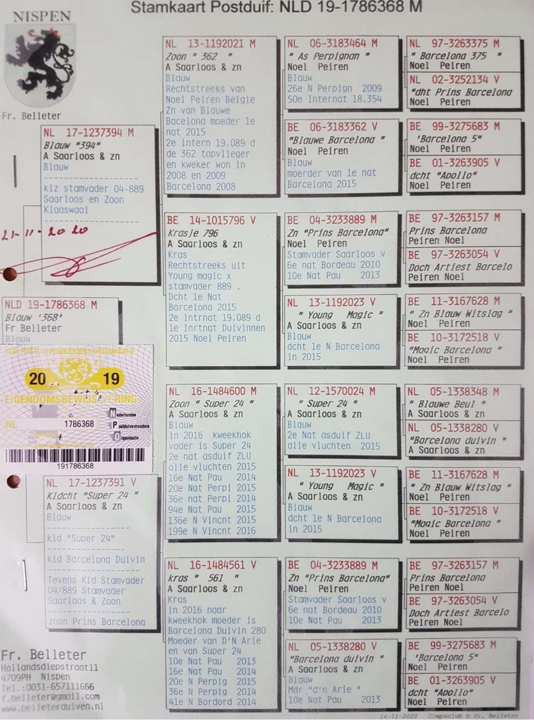 NL19-1786368 ERKEK  / ONLY  MARATON % 100