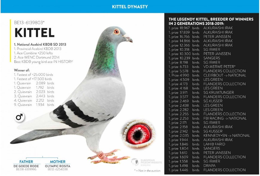 NL20-1201561 DİŞİ / DEDESİ  "  KITTEL  "1. NAT ACE KBDB 2013