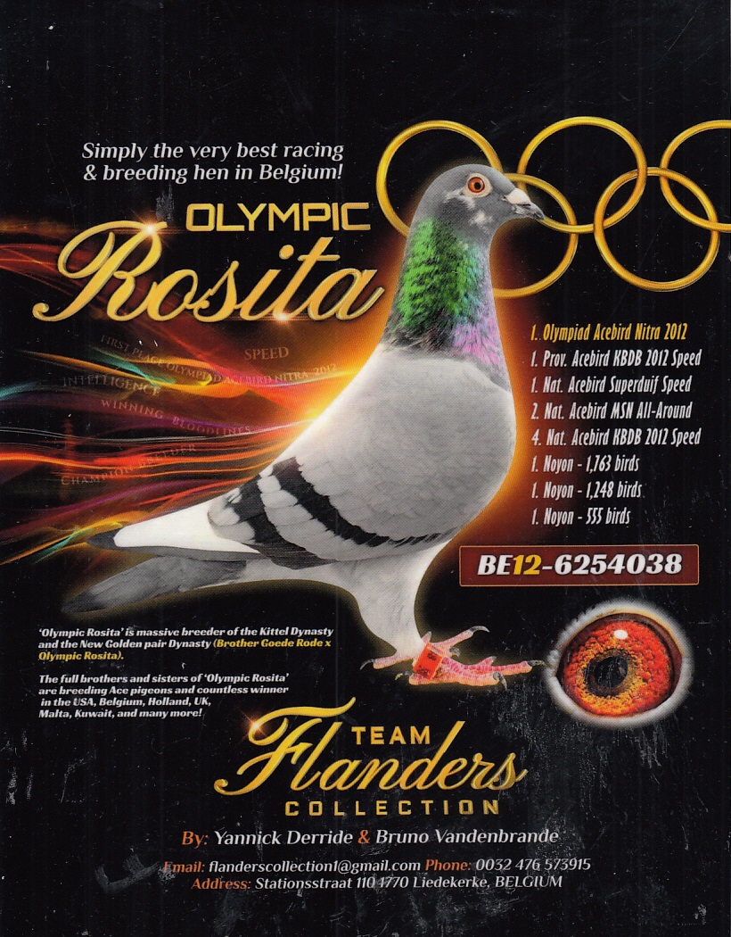 NL21-1316616 DİŞİ / KITTEL TORUNU  DİRK VAN DE BULCK SUPER