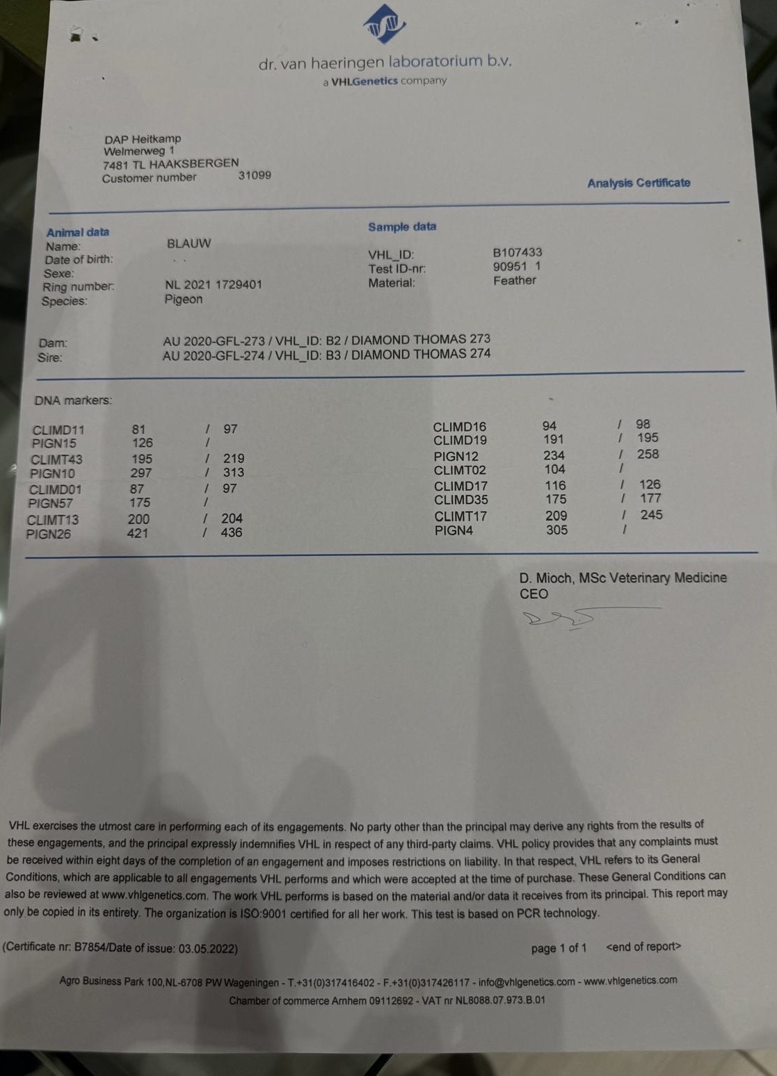 NL21-1729401 DİŞİ / INBREED THOMAS 6 - DNA SERTİFİKALI