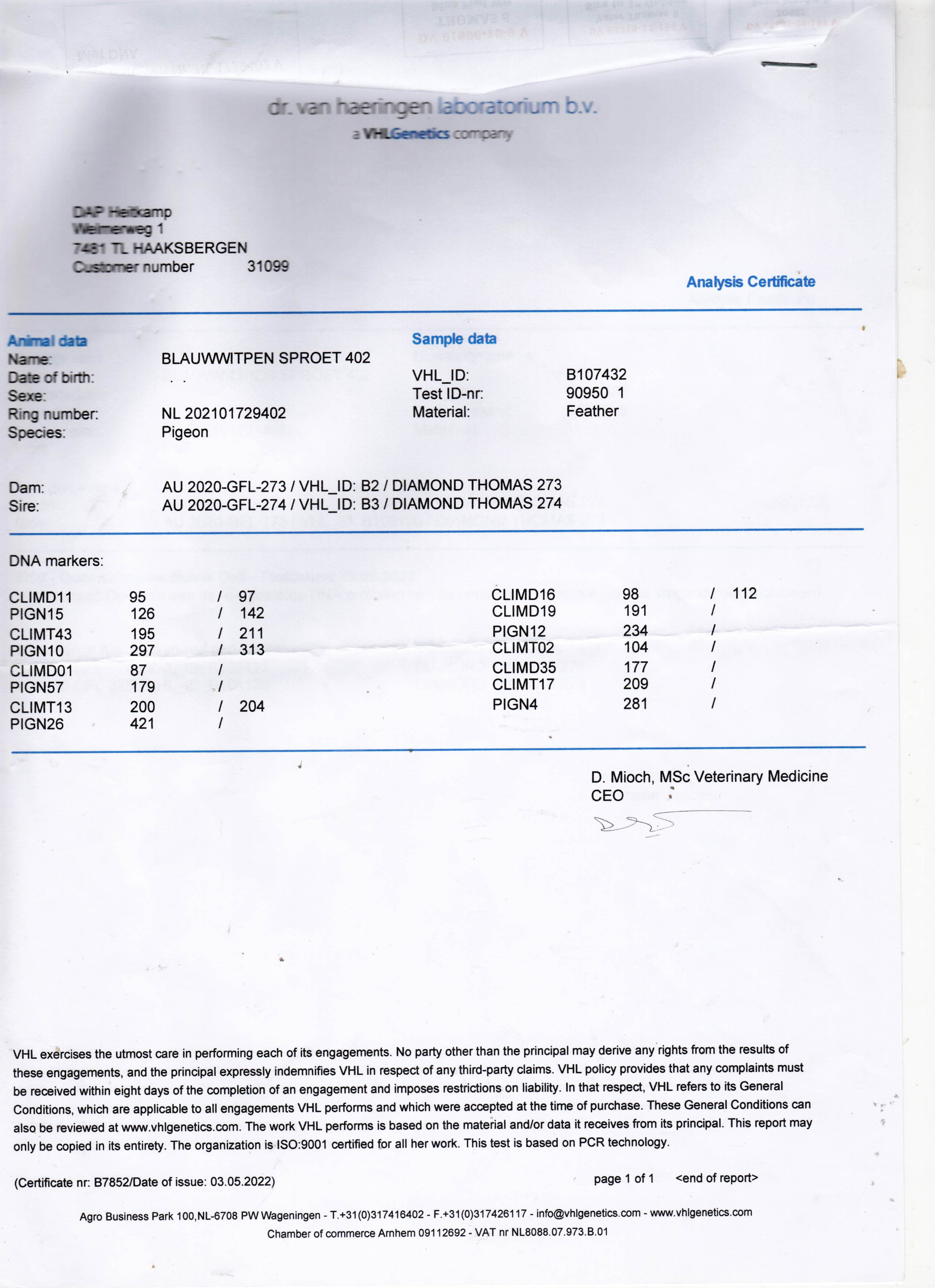 NL21-1729402 DİŞİ / INBREED THOMAS 6 - DNA SERTİFİKALI