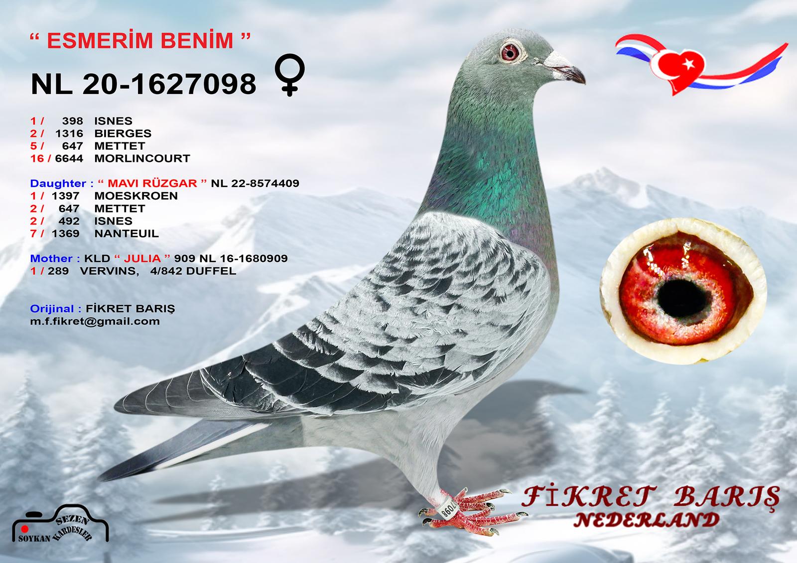 NL22-2229808 ERKEK / KARDEŞİ MAVİ R&Uuml;ZGAR 