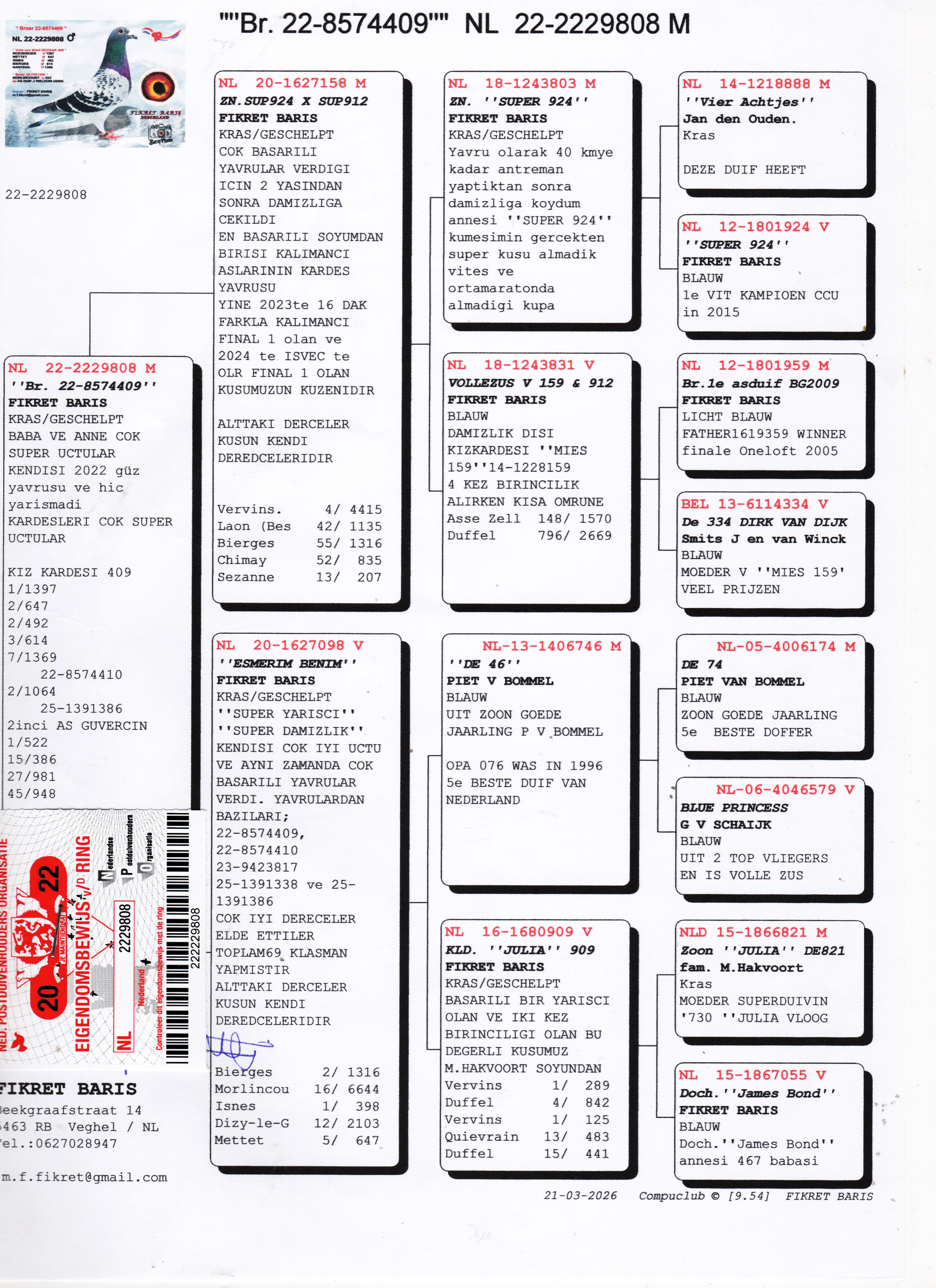 NL22-22298908 ERKEK / KARDEŞİ MAVİ R&Uuml;ZGAR 