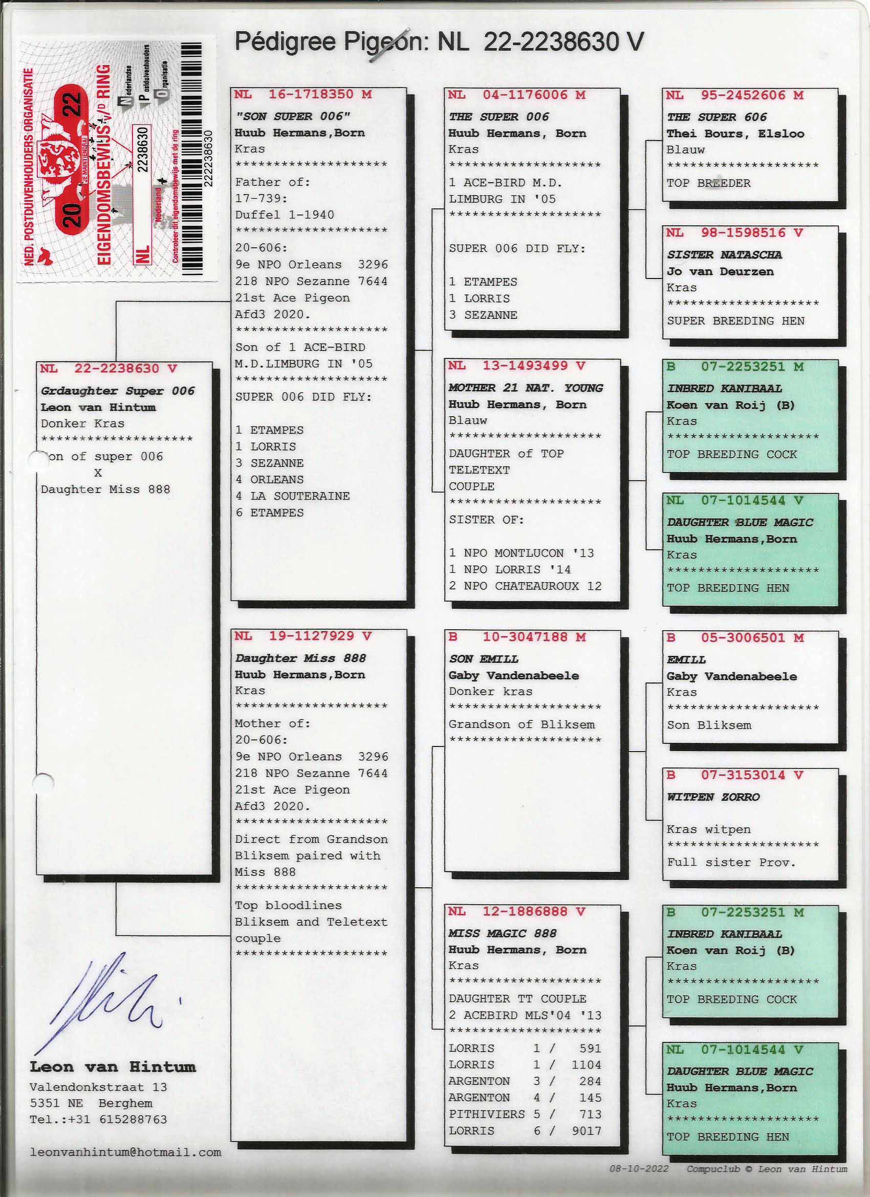 NL22-2238630 DİŞİ / HUUB HERMANS % 100 INBREED TT COUPLE 