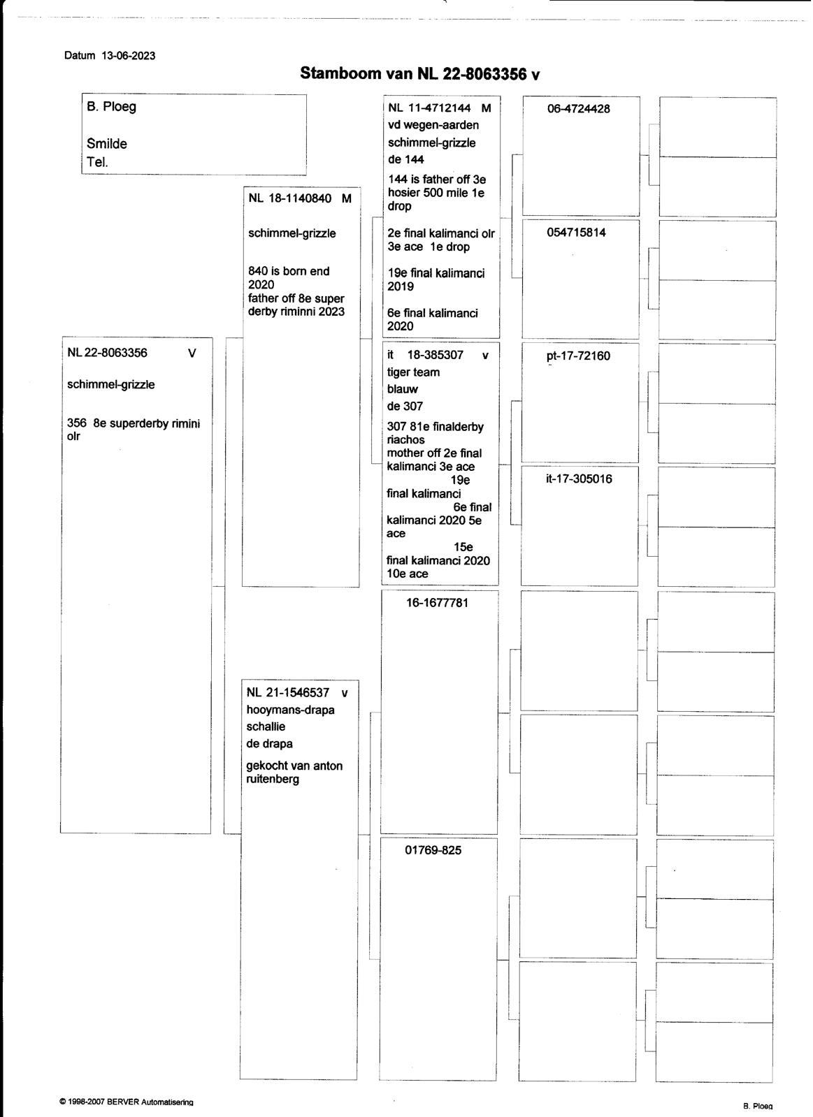 NL22-8063356 DİŞİ / KENDİSİ YARIŞMIŞTIR  8 SUPER DERBY RIMINI 