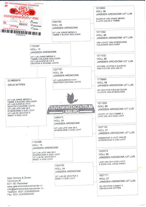 NL22-8665816 ERKEK / LİNE  GEBR JANSSEN 