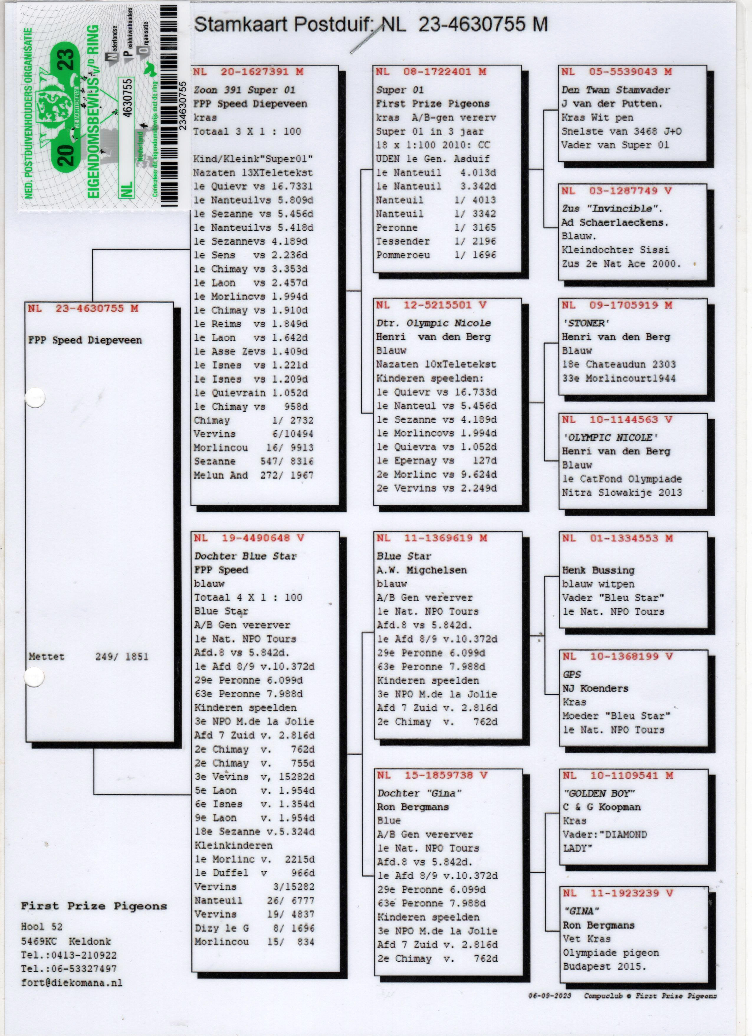 NL23-4630755 ERKEK / DEDESİ MESHUR SUPER 01 