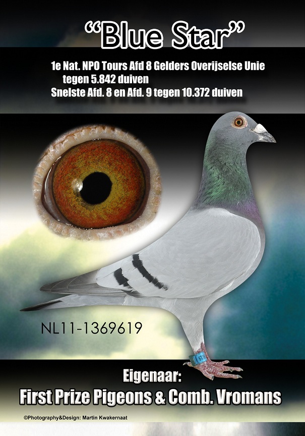 NL23-4630755 ERKEK / DEDESİ MESHUR SUPER 01 