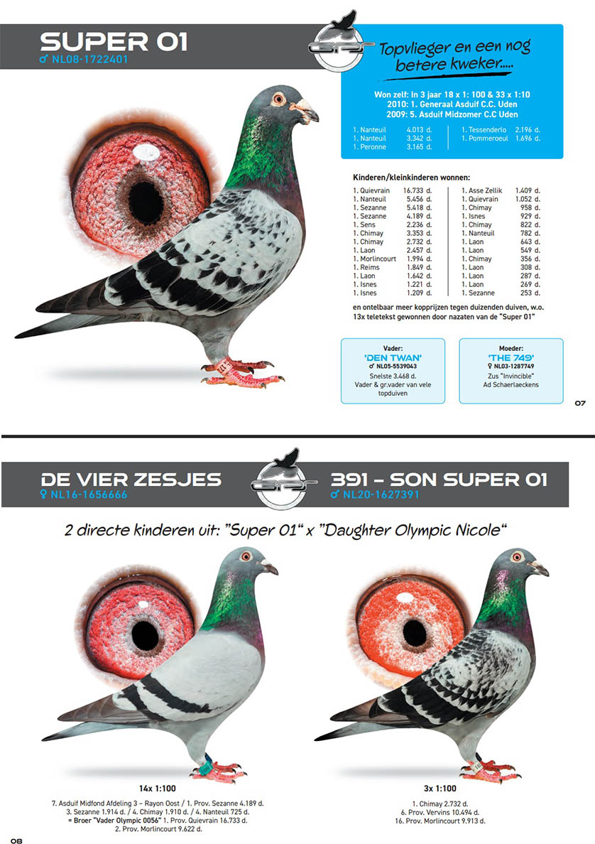 NL23-4630755 ERKEK / DEDESİ MESHUR SUPER 01 