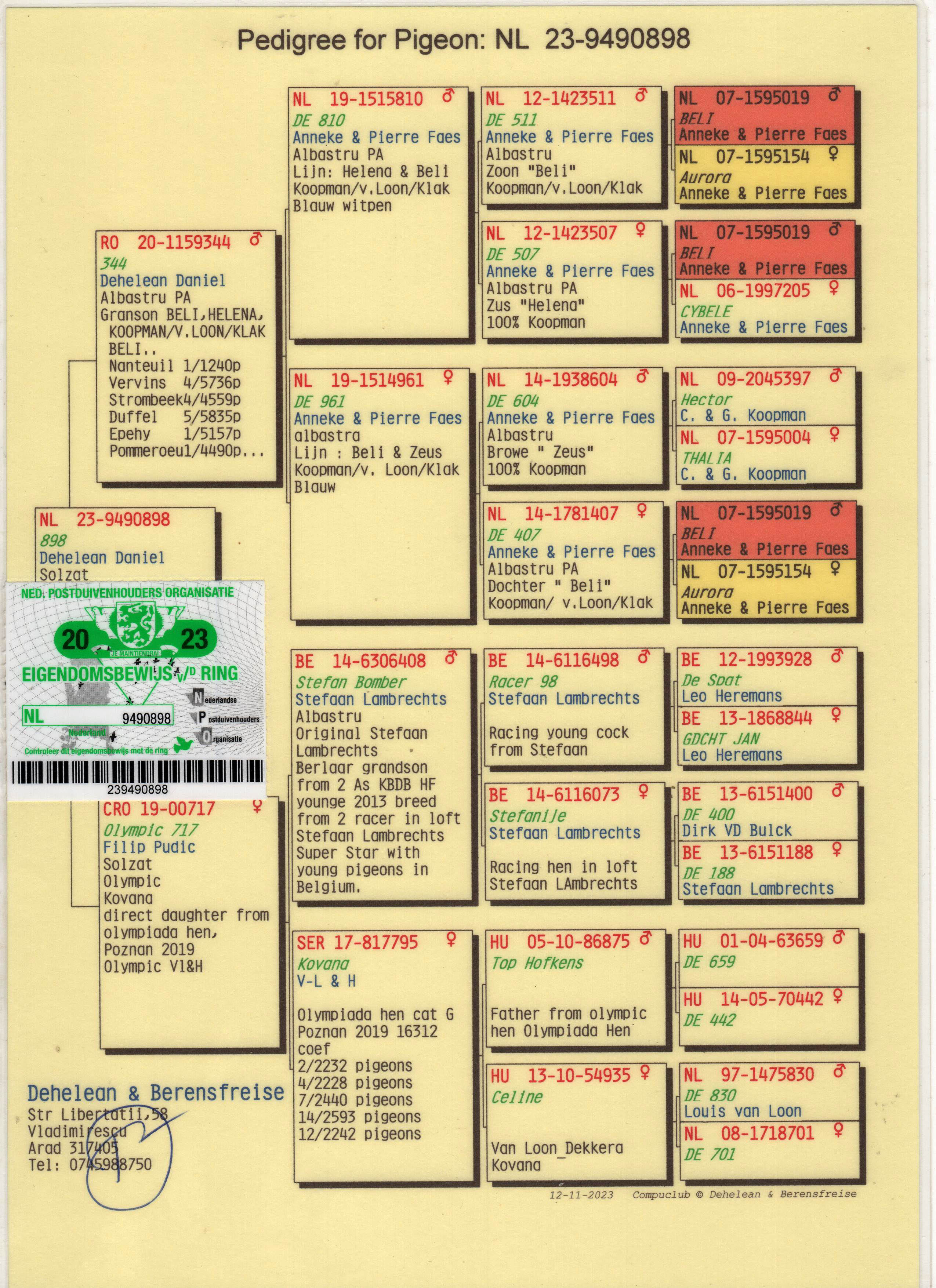 NL23-4940898 ERKEK / BABASI VAN LOON X DE KLAK X KOOPMAN ANNESİ S LAMBRECHTS
