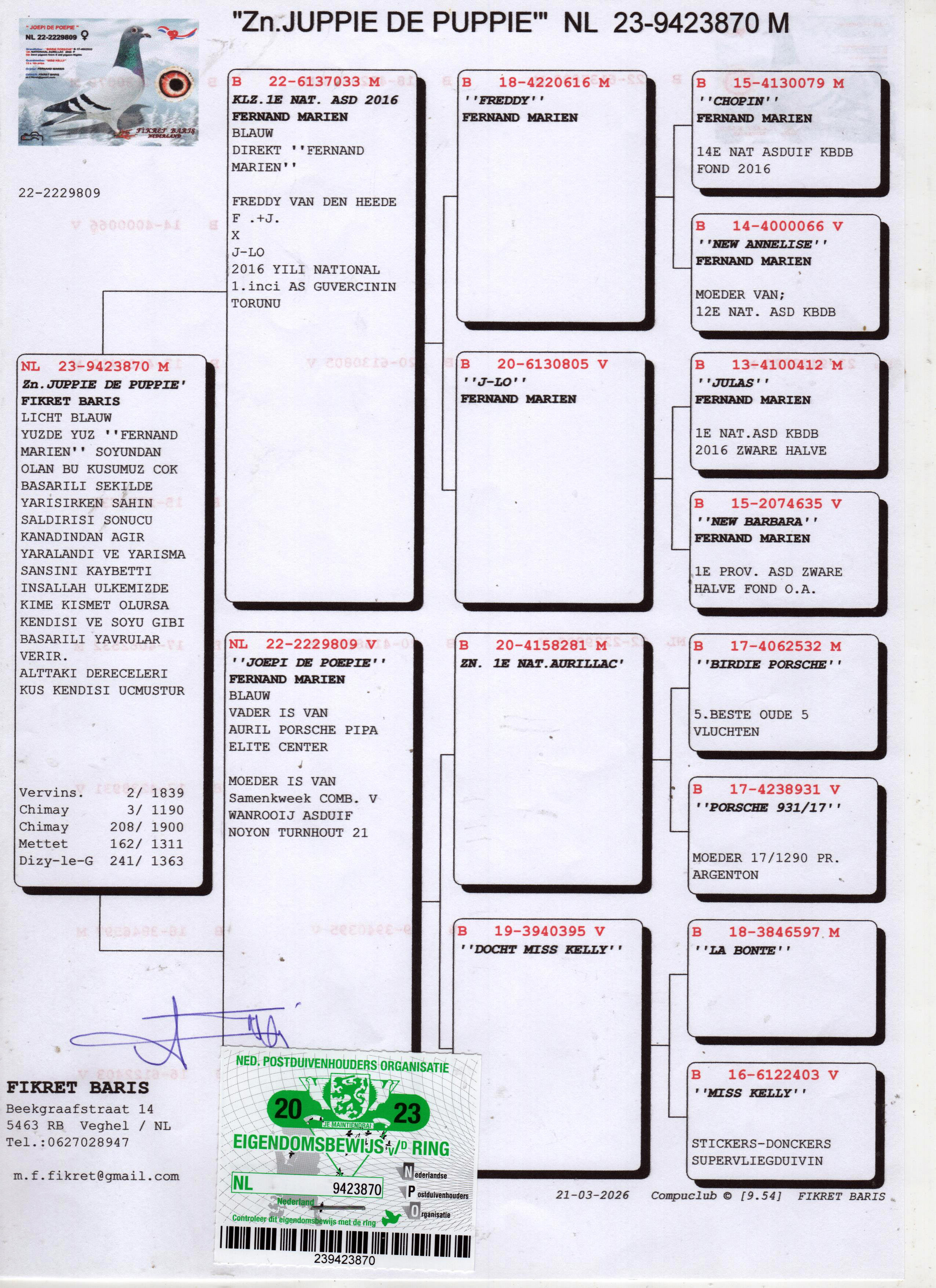 NL23-9423870 ERKEK / KENDİSİ YARIŞMIŞTIR 2 . & 3. DERECELERİ VARDIR 