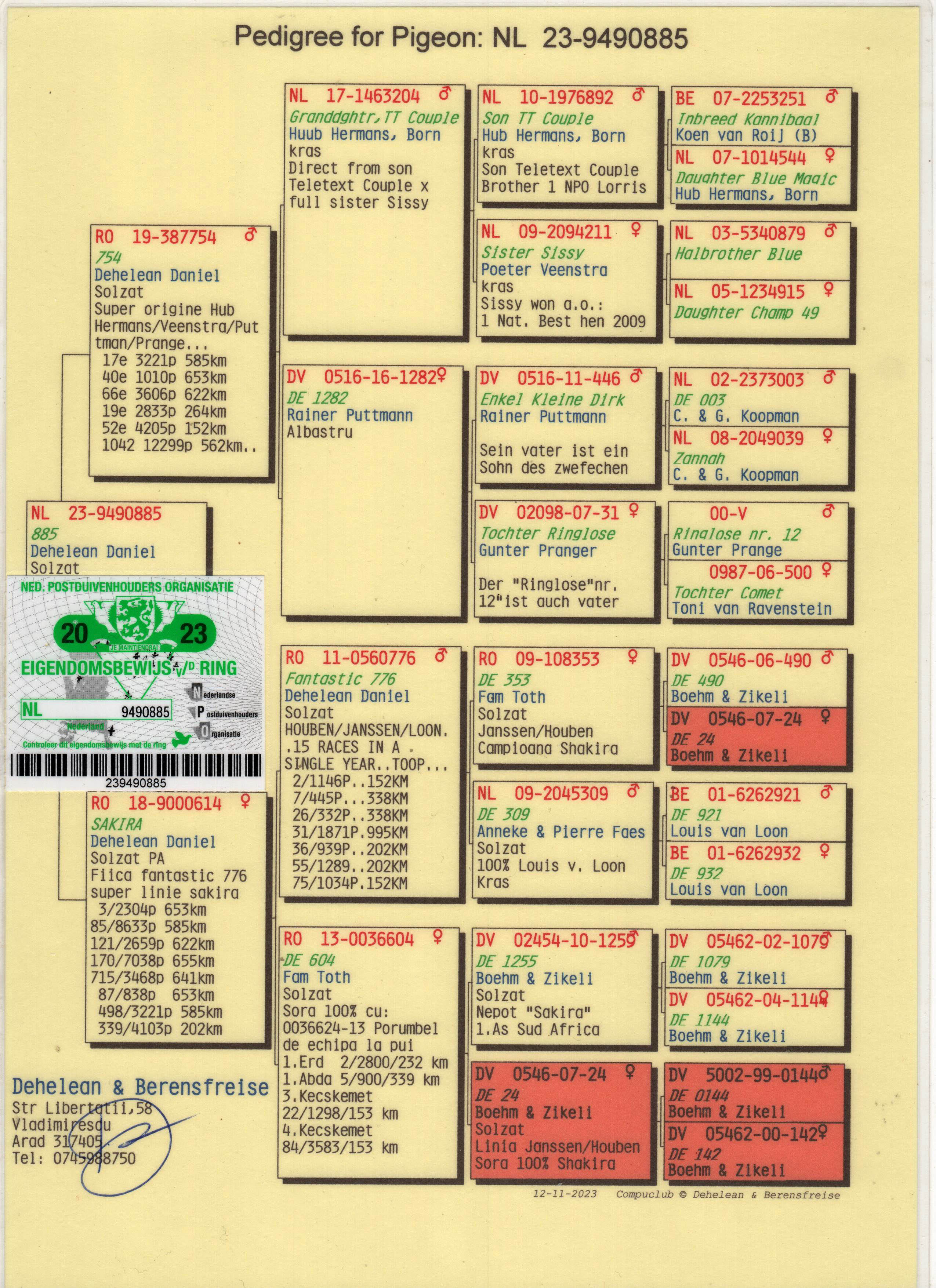 NL23-9490885 ERKEK / BABASI HUUB HERMANS / PUTTMANN ANNESİ FANTASTIC 776 KIZI