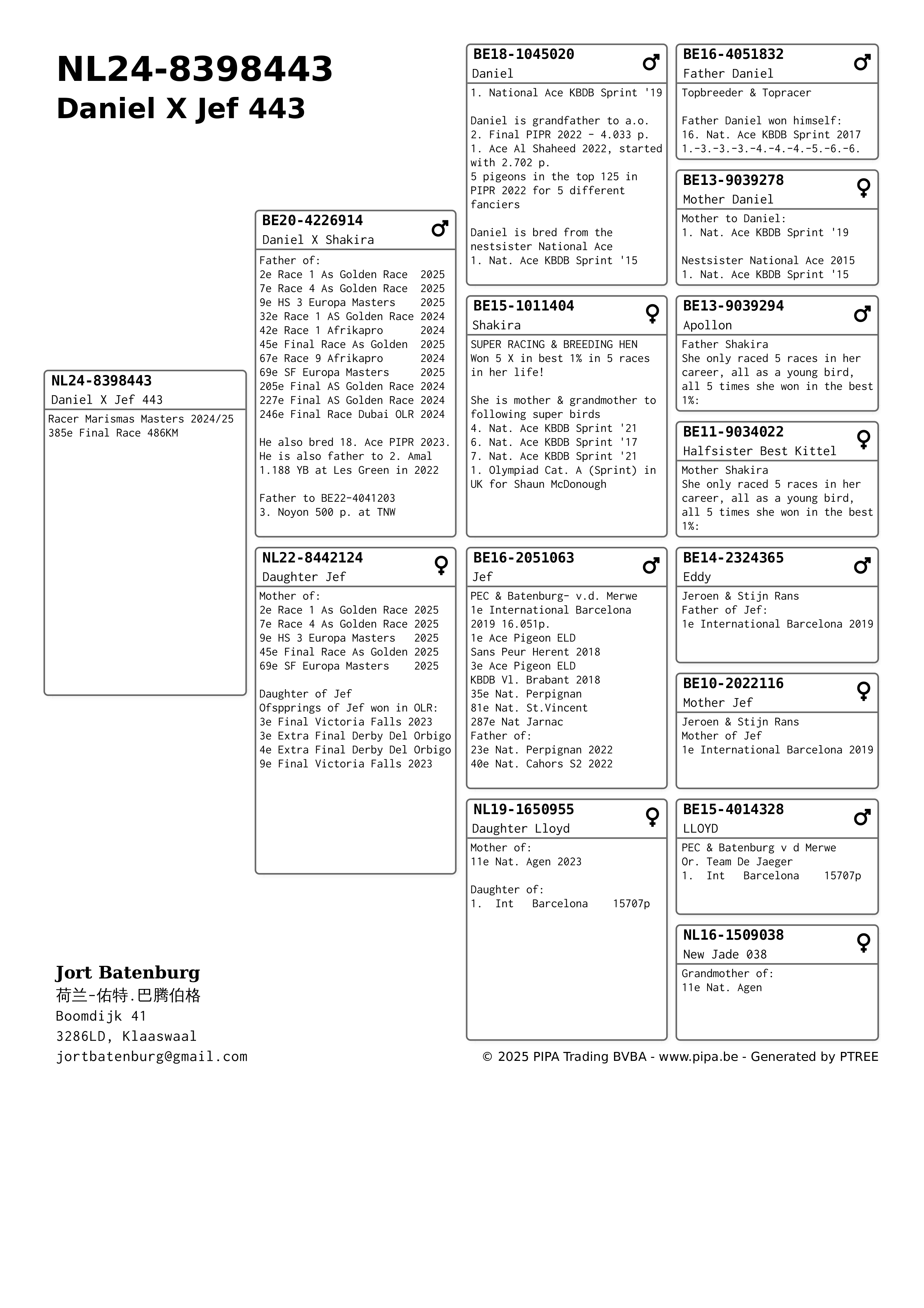 NL24-8398443 ERKEK / DANIEL TORUNU  KENDİSİ YARIŞMIŞ MARİSMAS OLR 2024