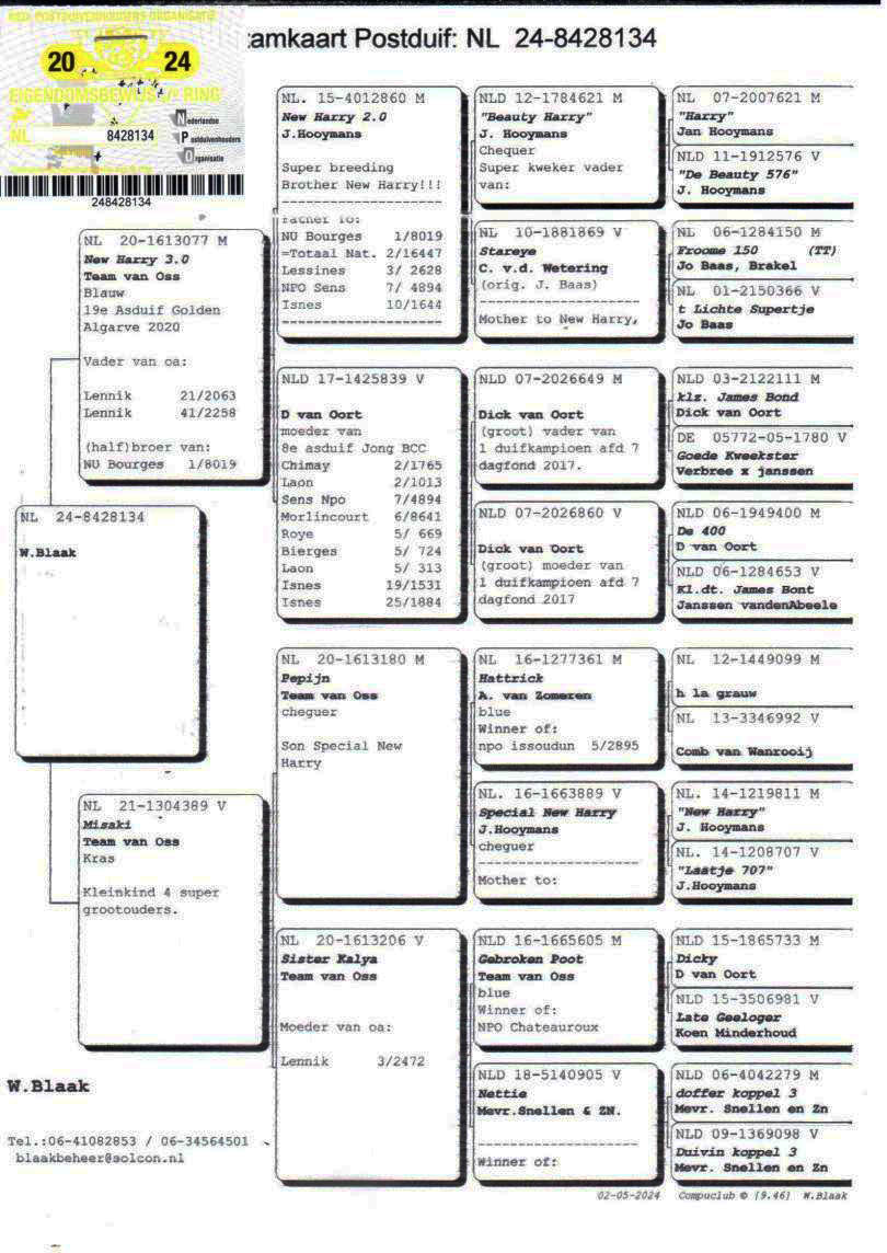 NL24-8428134 ERKEK / NEW HARRY SOYU BABASI 19 AS ALGARVE GOLDEN RACE