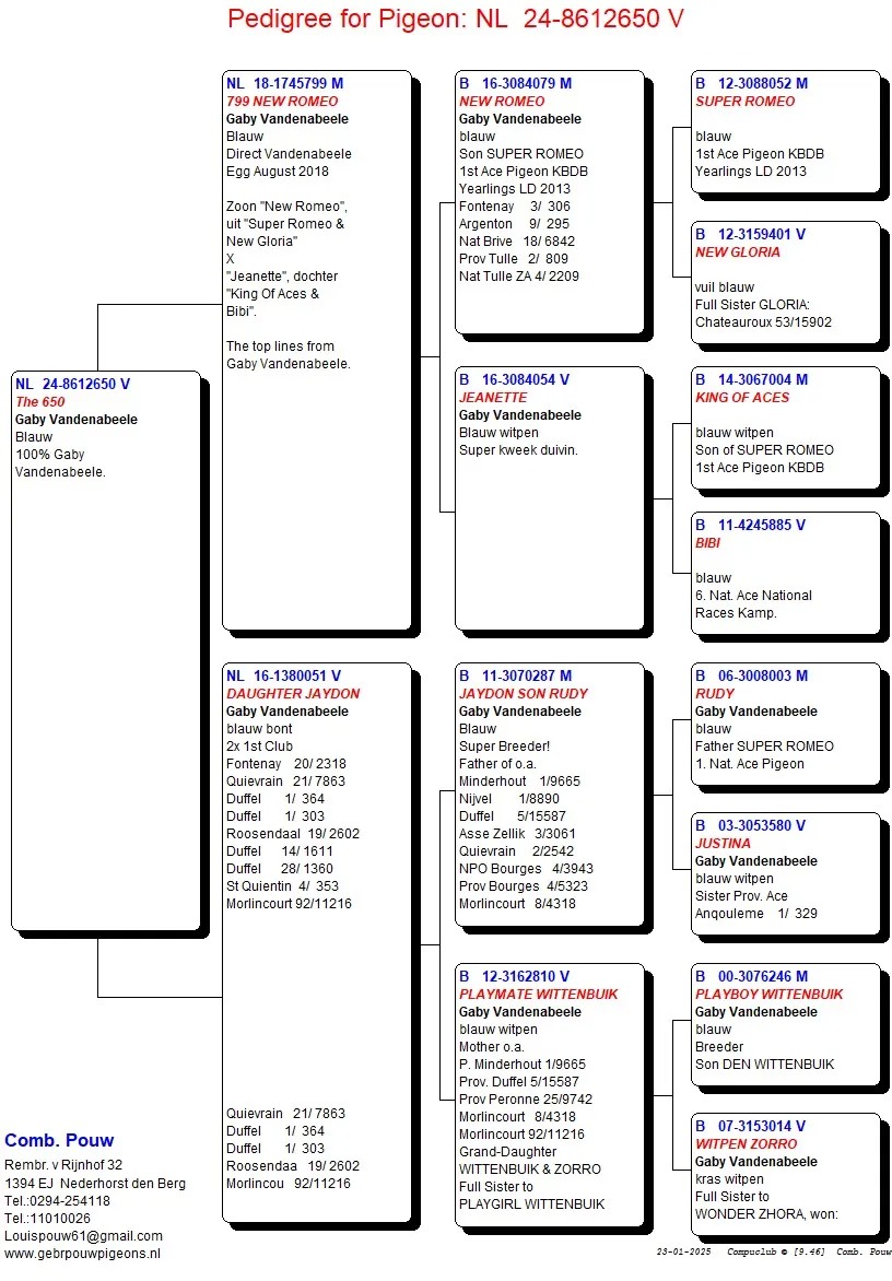 NL24-8612650 DİŞİ / GABY VANDENABEELE % 100