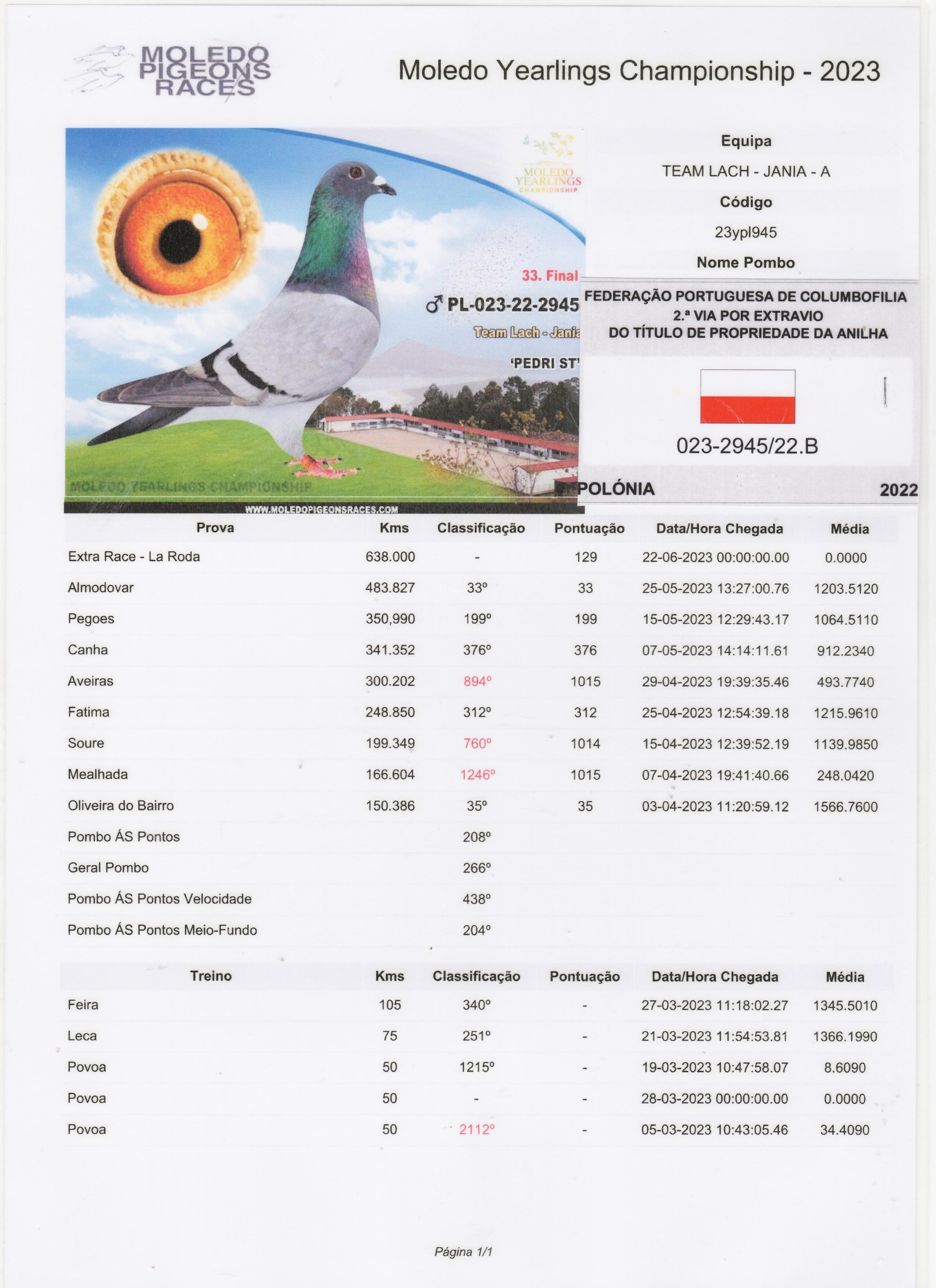 PL-023-22-2945 ERKEK / KENDİSİ 33 FİNAL 484 KM MOLEDO